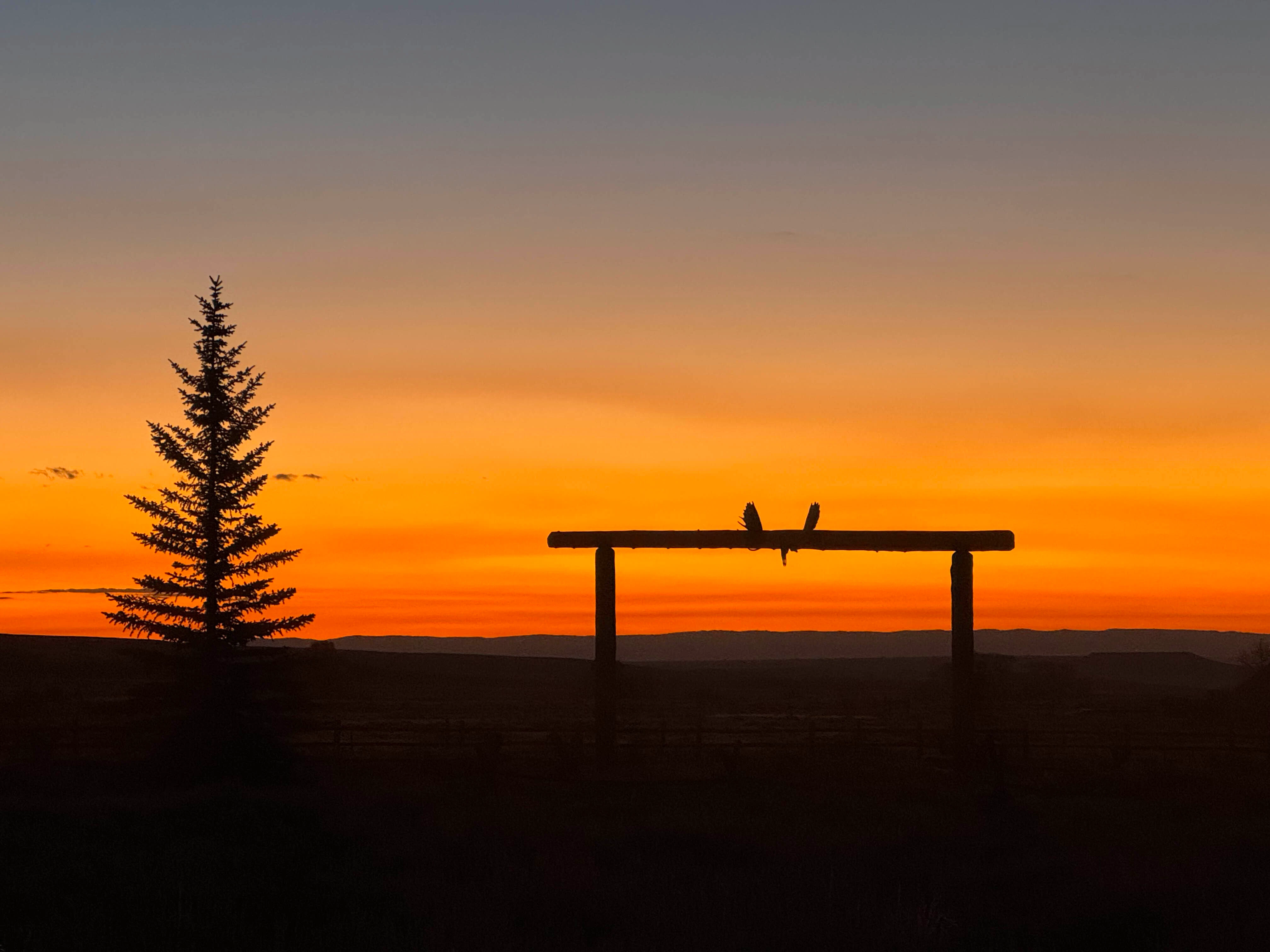 Centennial Valley Sunrise