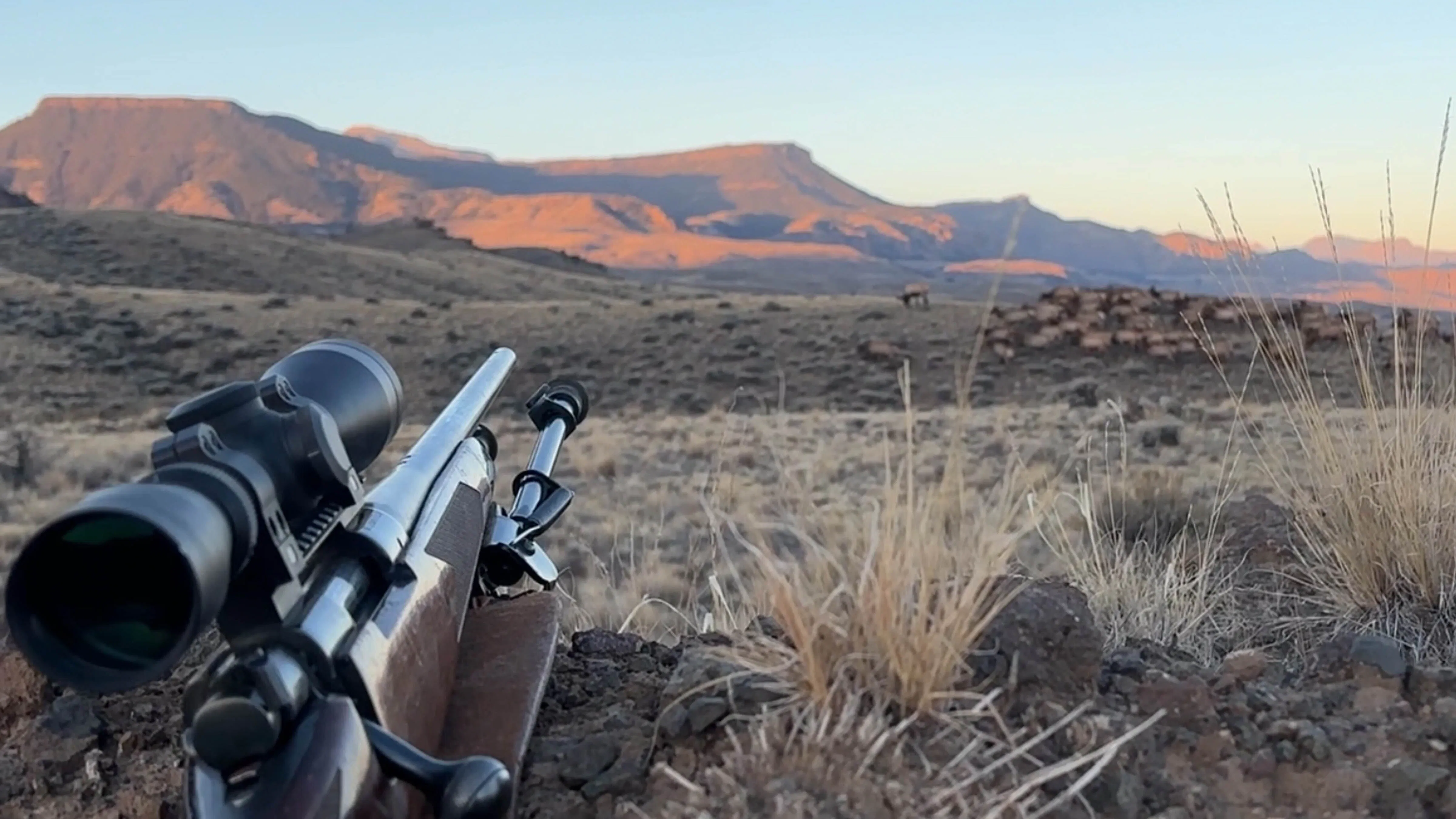 Hunting in Wyoming at sunrise