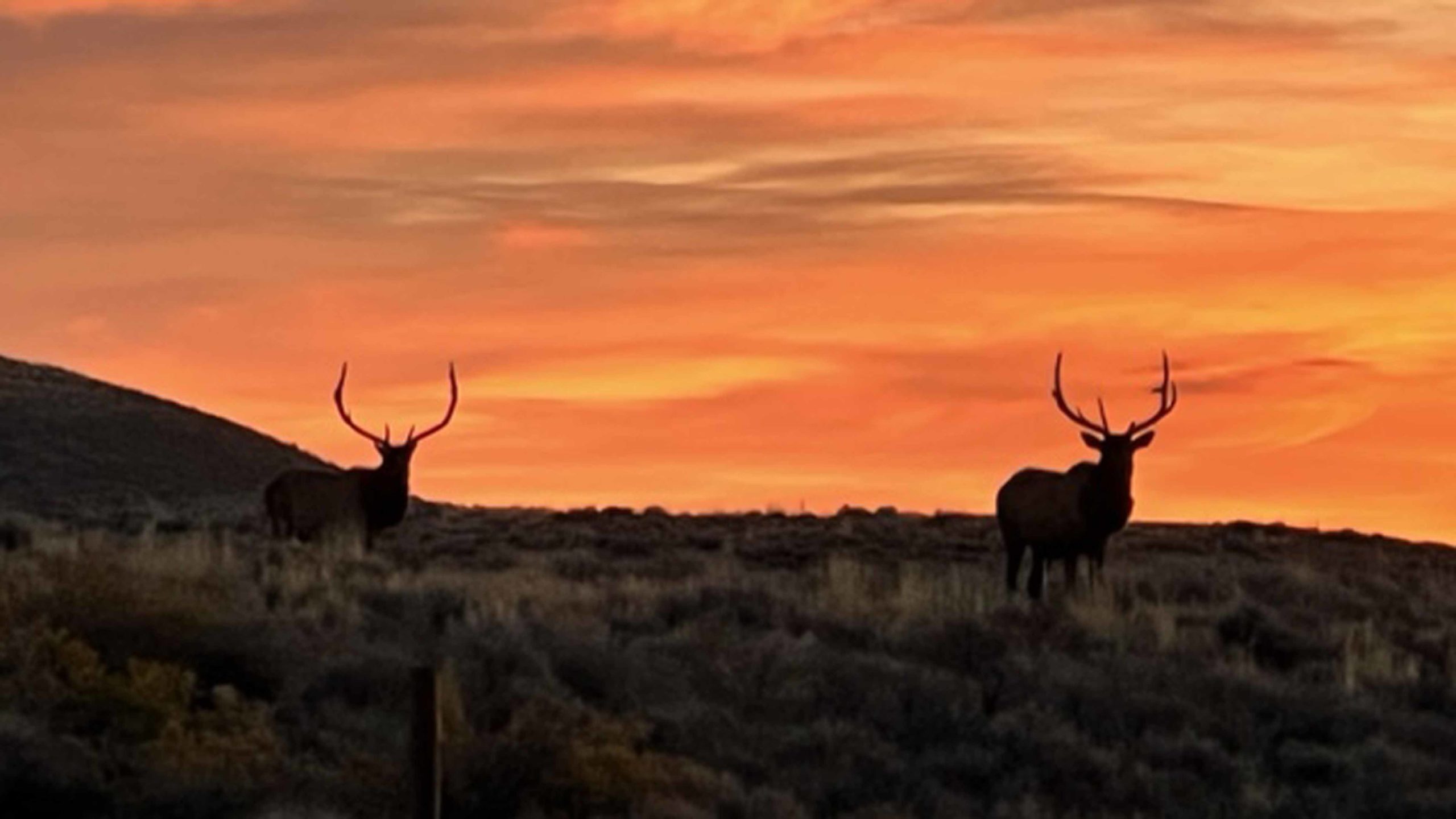 Sunrise 10 22 22 v3 scaled