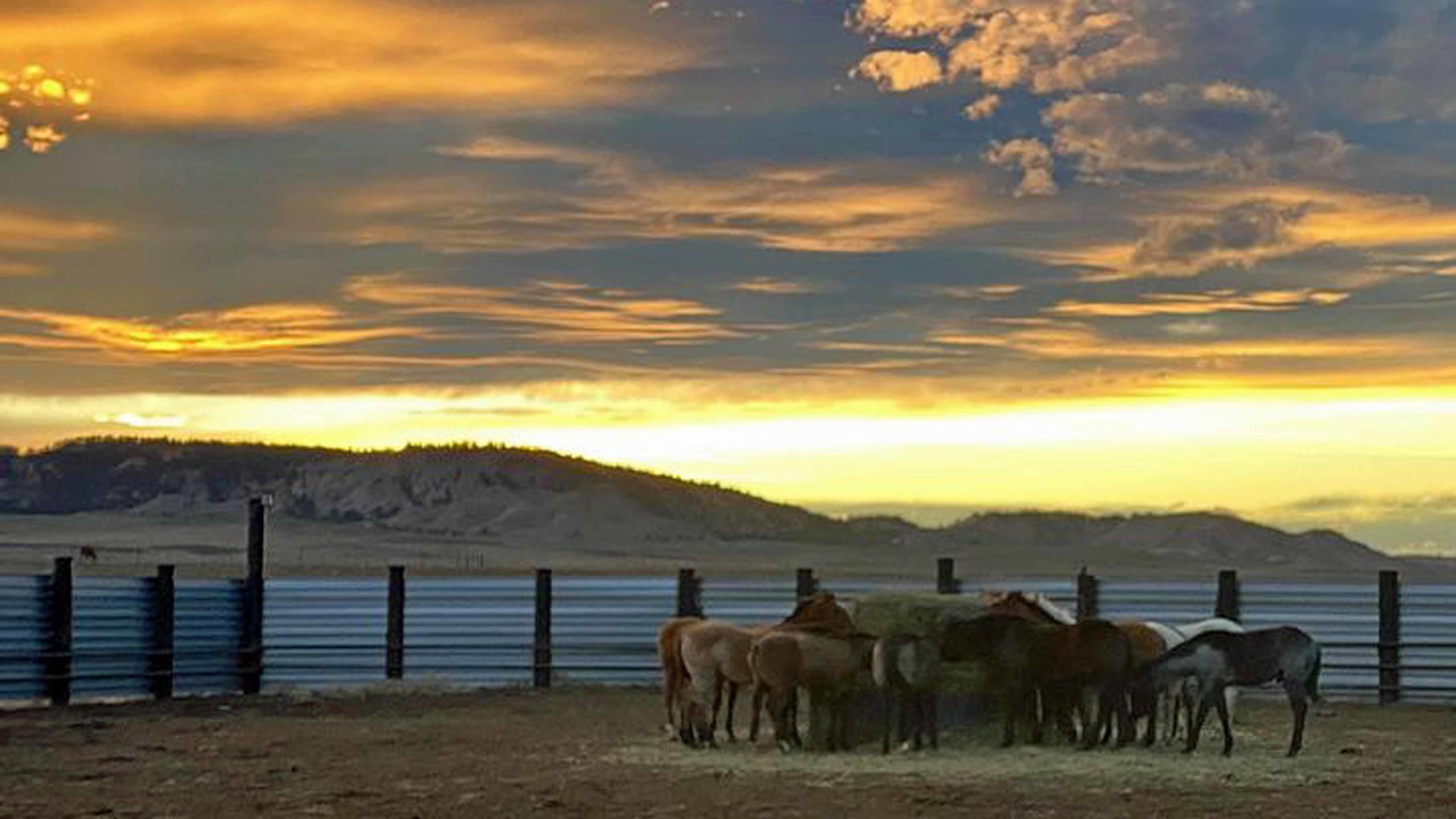 Sunrise 10 29 21 scaled