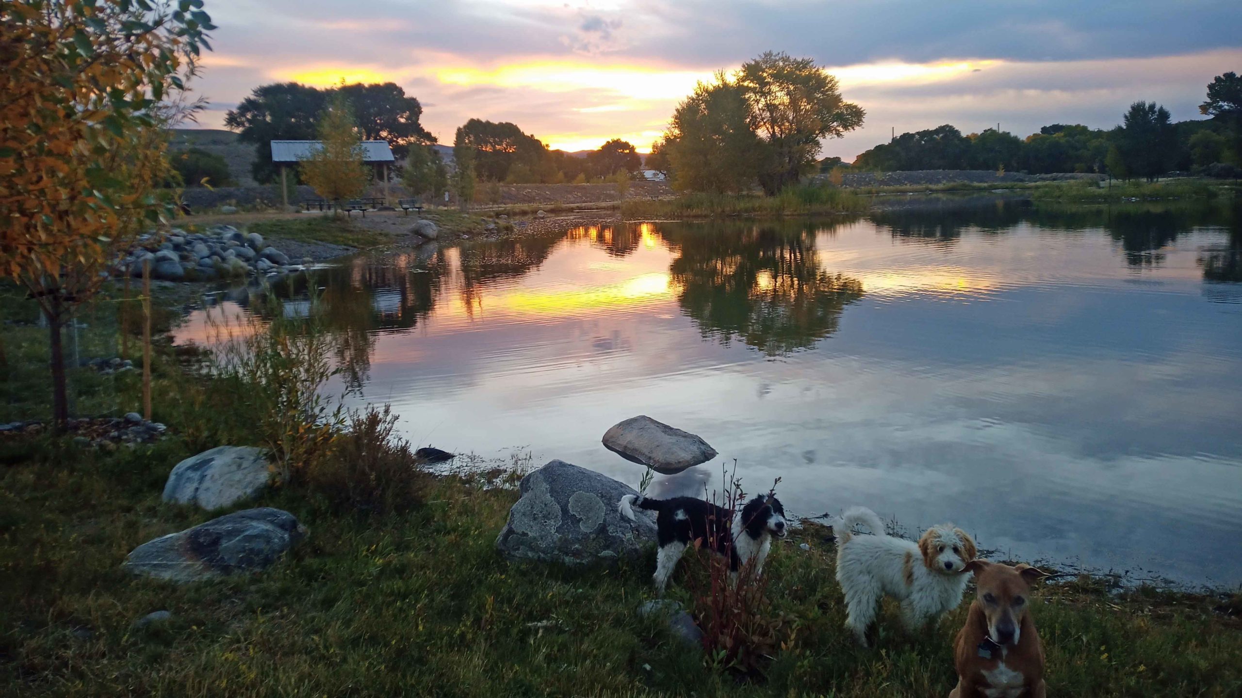 Sunrise 10 9 22 v4 scaled