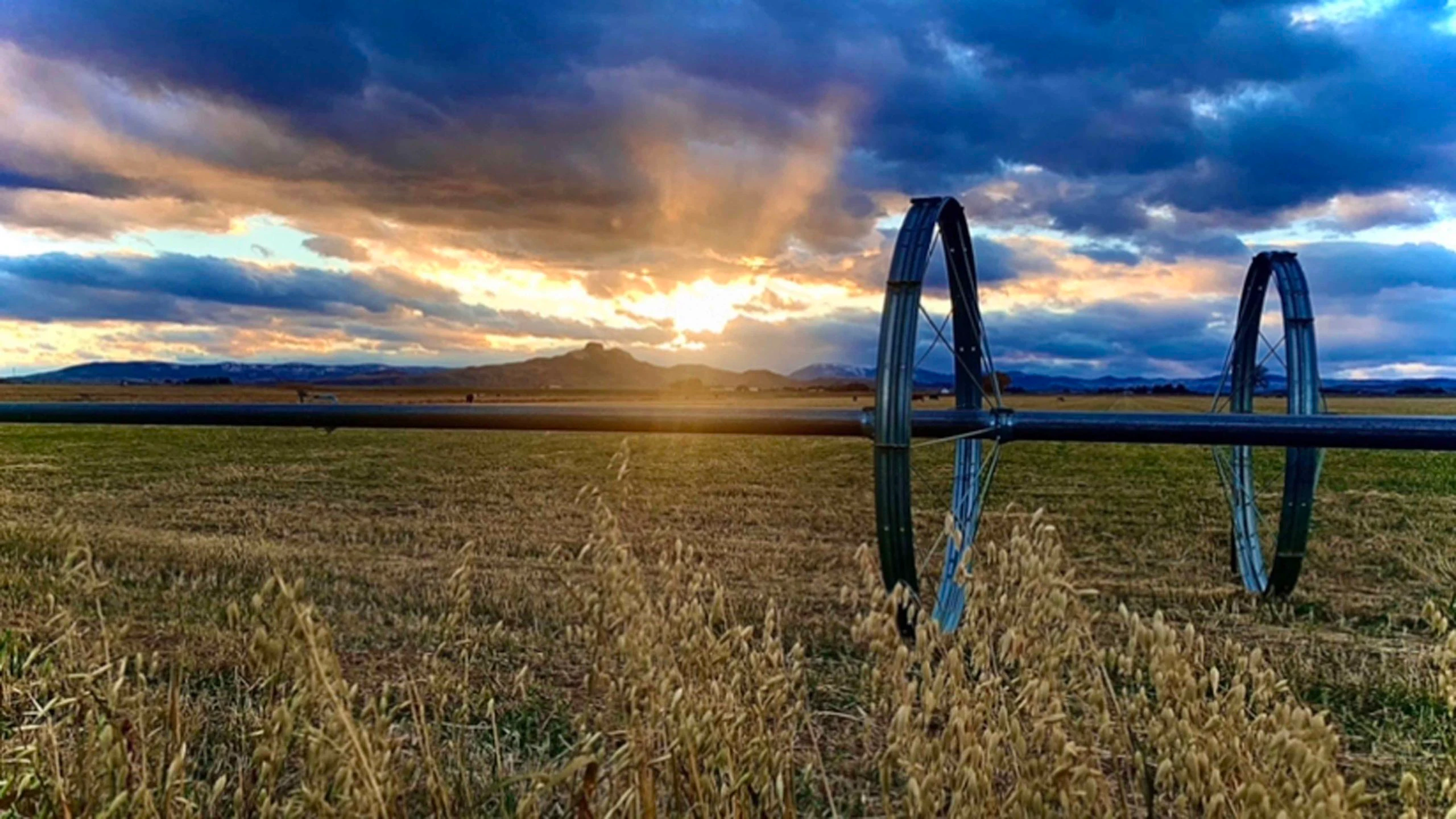 Sunrise 11 2 21 scaled