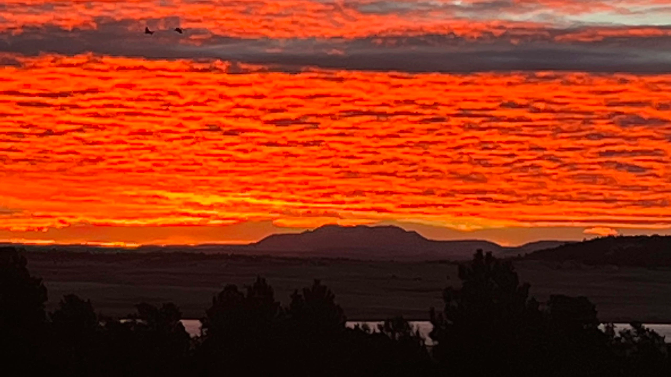 Sunrise 11 7 22 v2 scaled