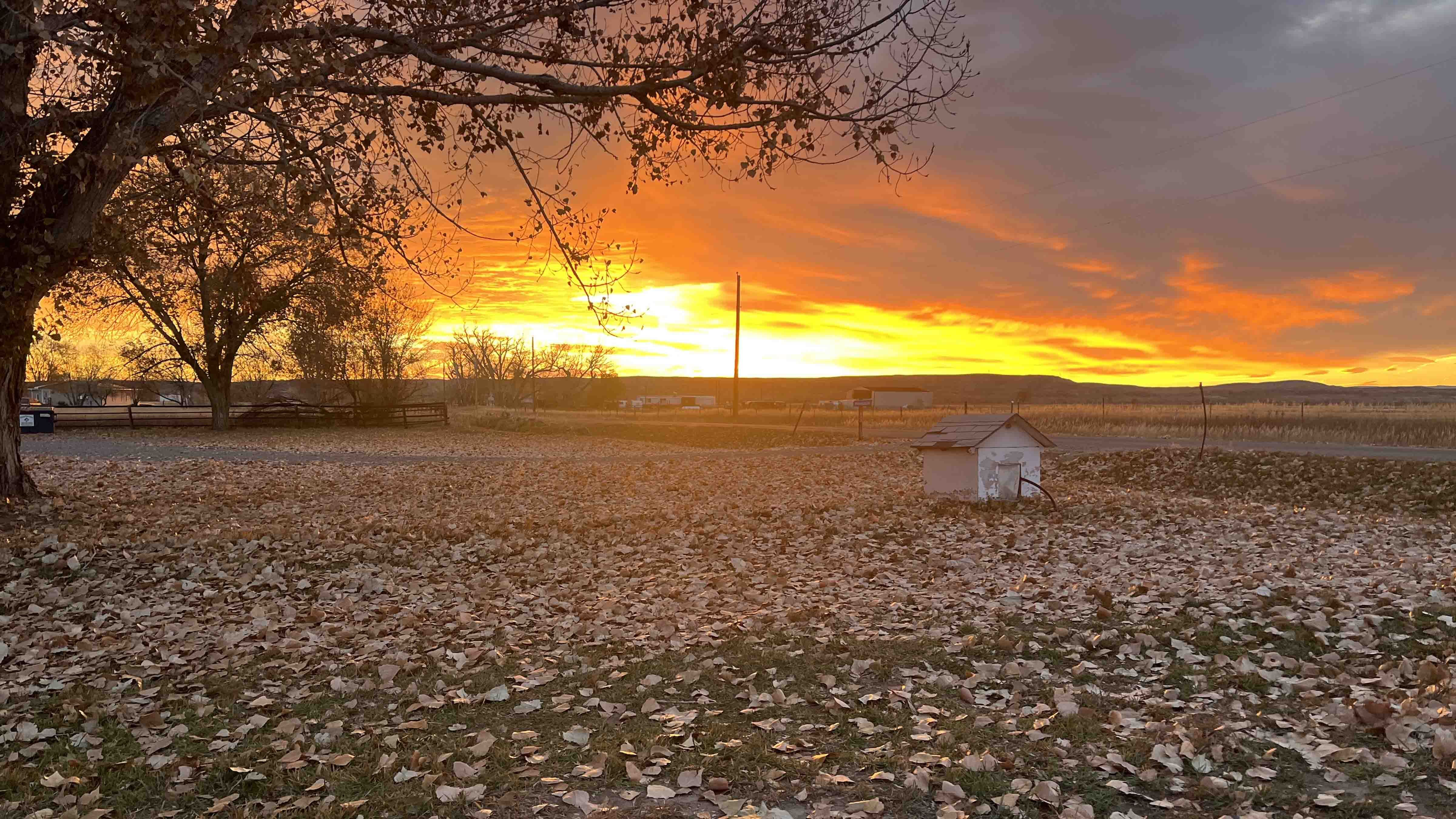 Your Wyoming Sunrise: Sunday, November 9, 2025