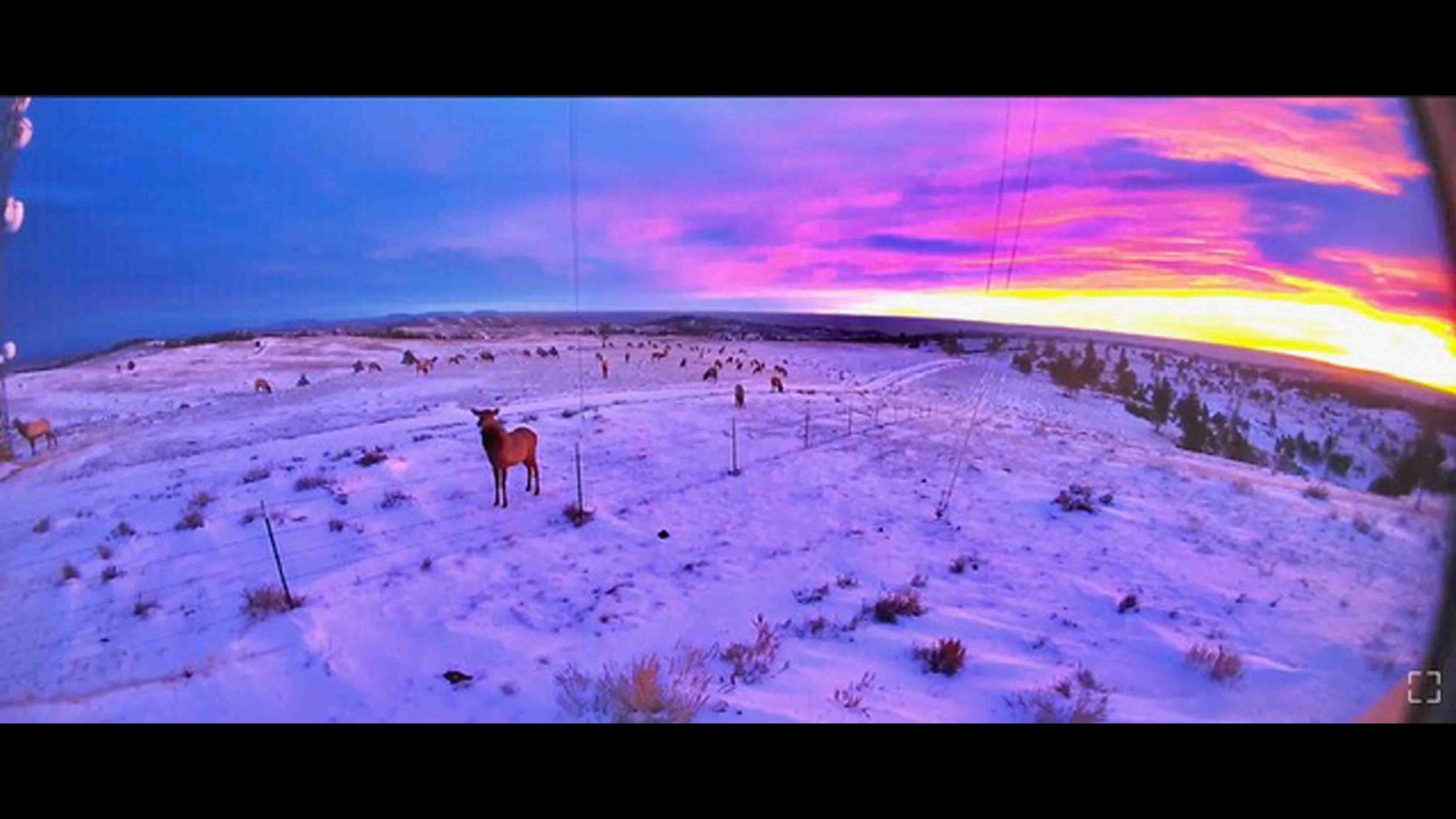 Sunrise 12 19 21 1 scaled