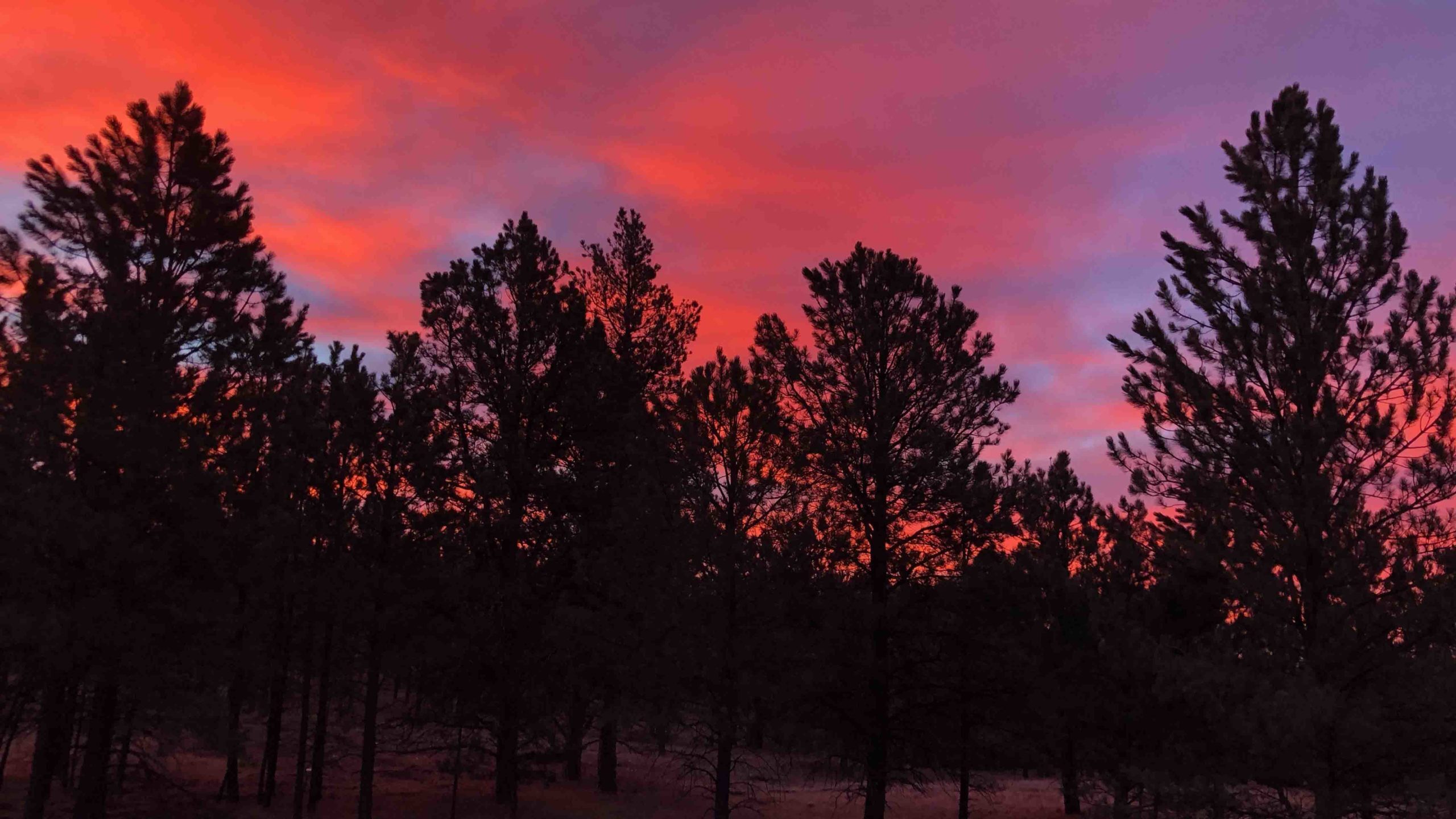 Sunrise 12 2 21 scaled