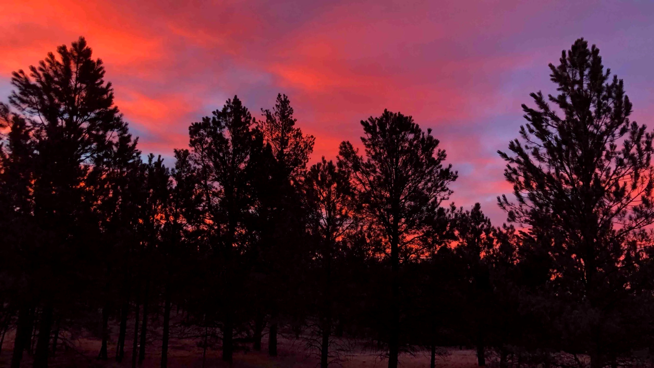 Sunrise 12 2 21 scaled