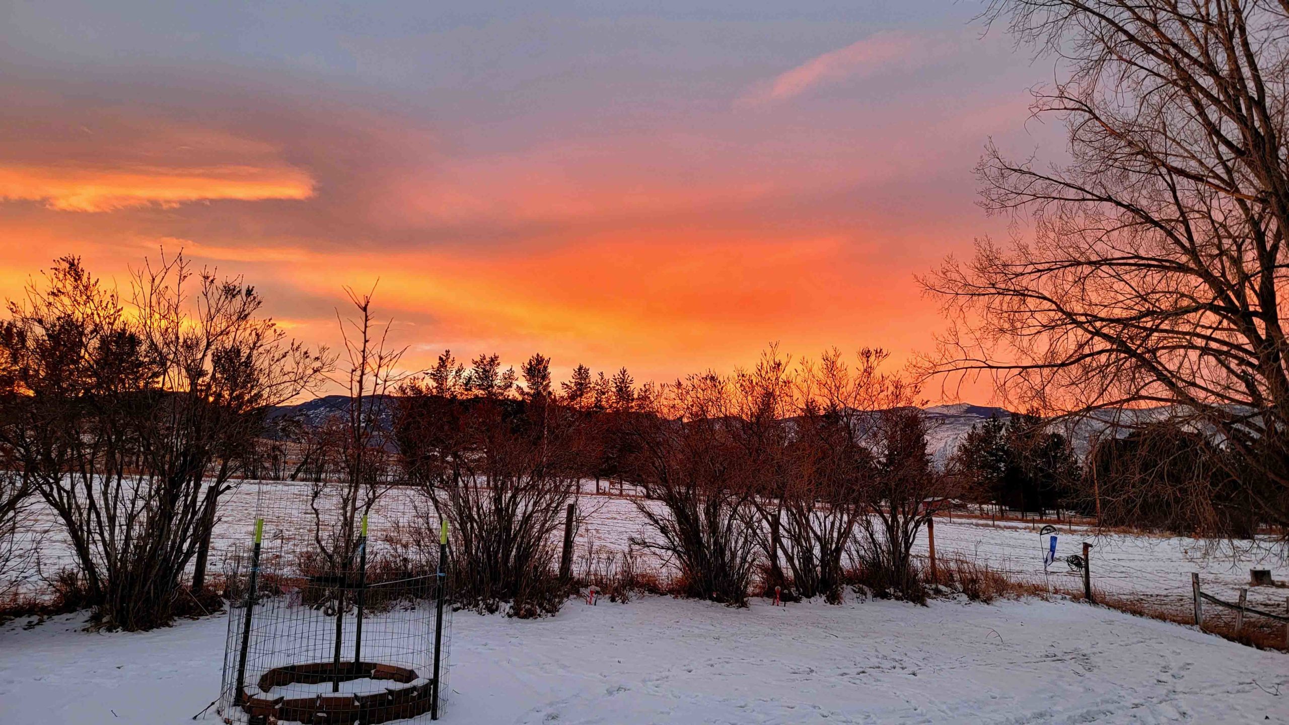 Sunrise 12 30 21 scaled