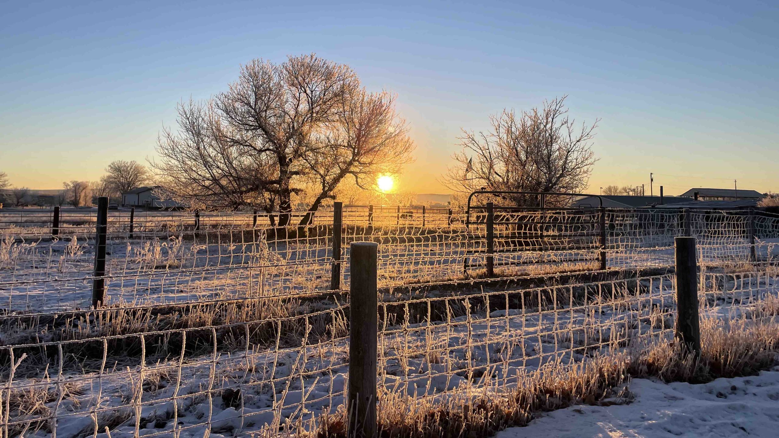 Sunrise 12 8 22 v2 scaled