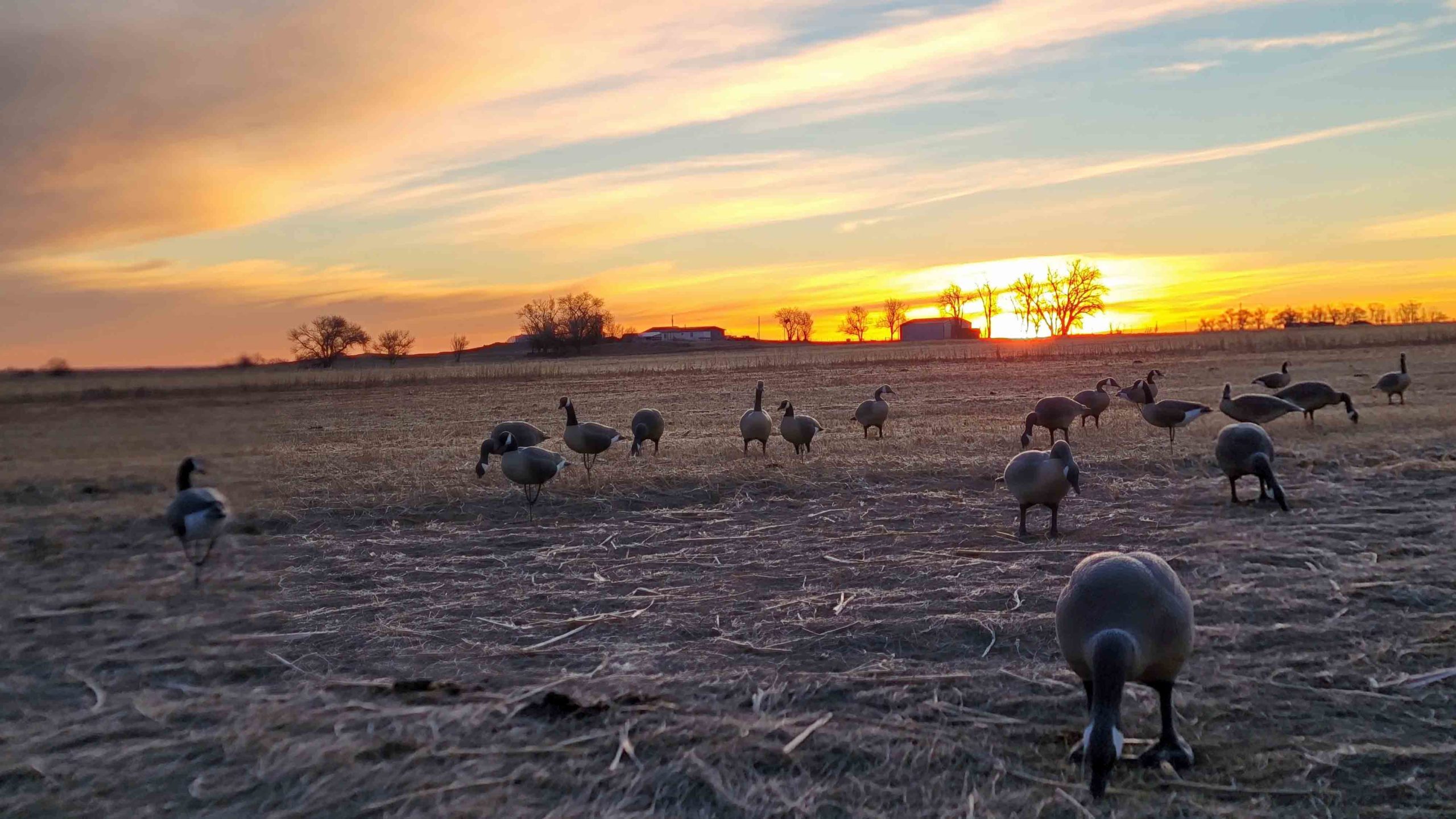 Sunrise 2 1 22 scaled