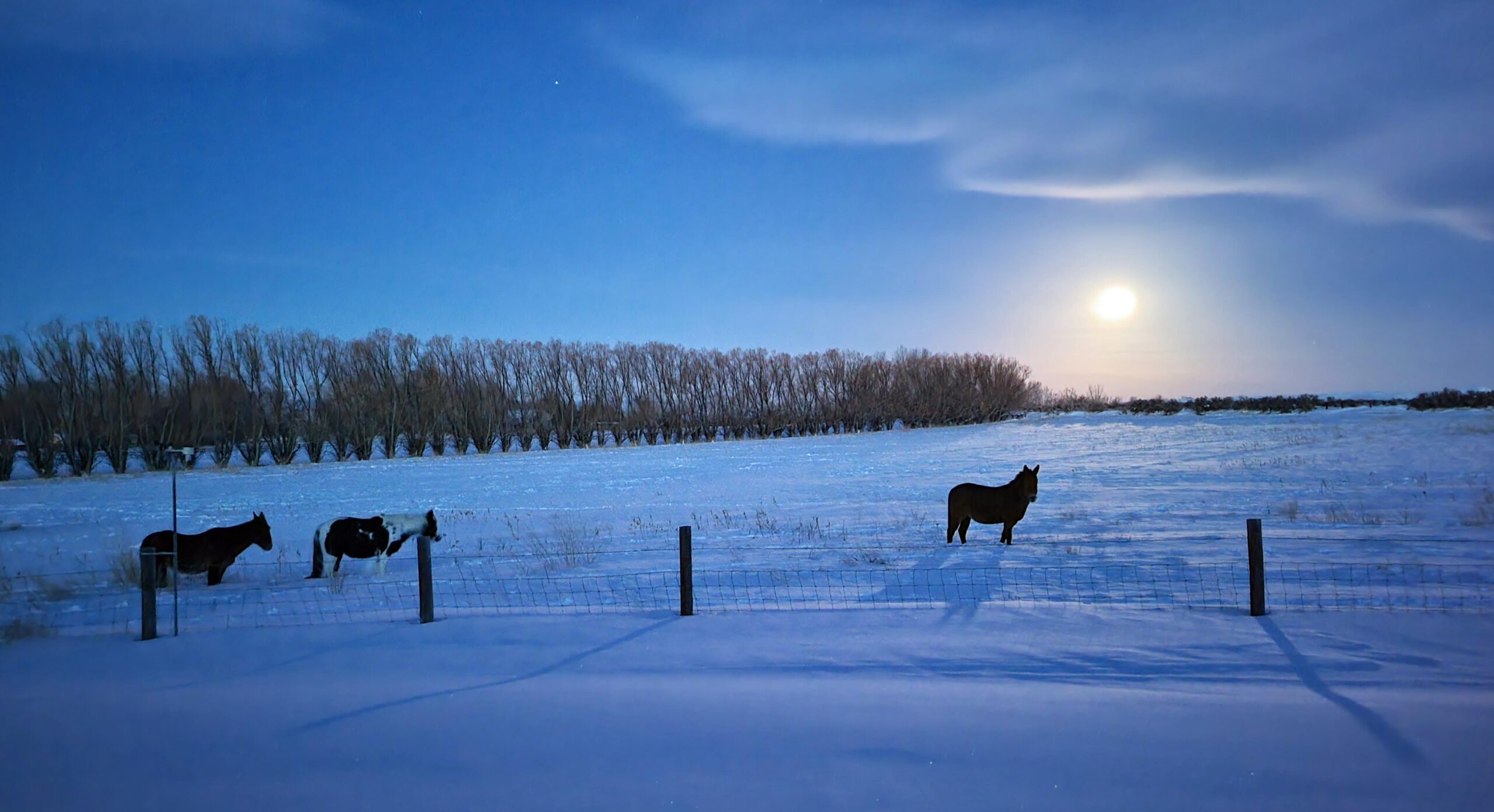 Your Wyoming Sunrise Saturday, February 11, 2023 Cowboy State Daily