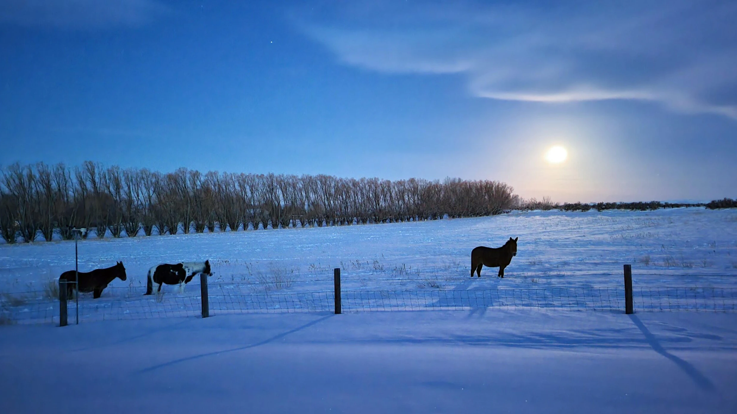 Sunrise 2 11 22 v2 scaled