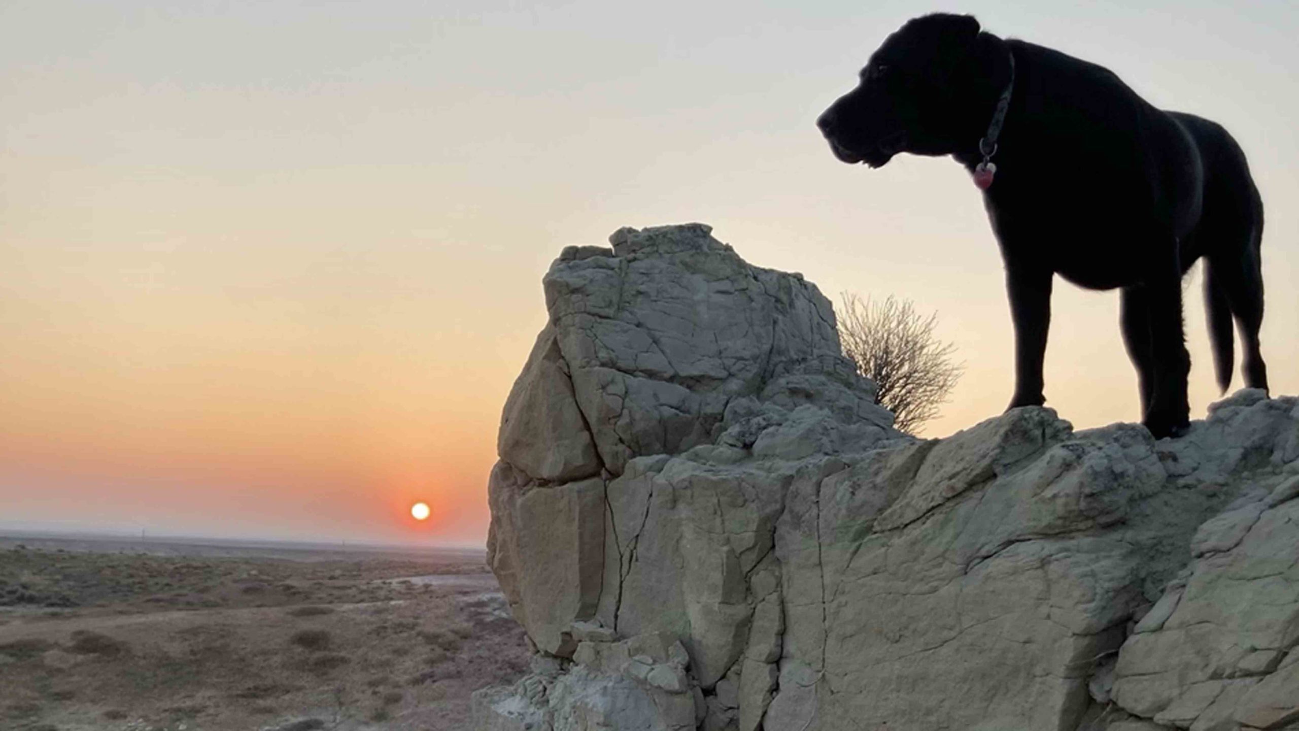 Sunrise 2 22 22 v3 scaled