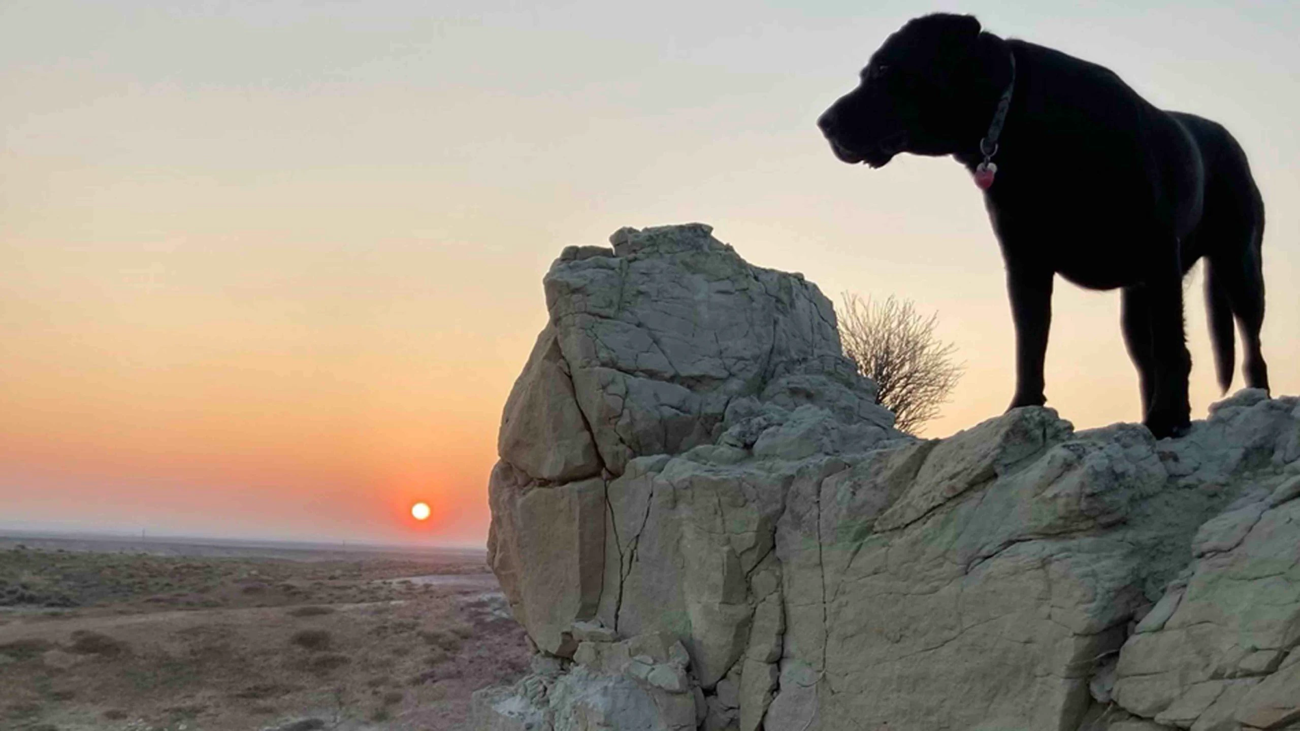 Sunrise 2 22 22 v3 scaled