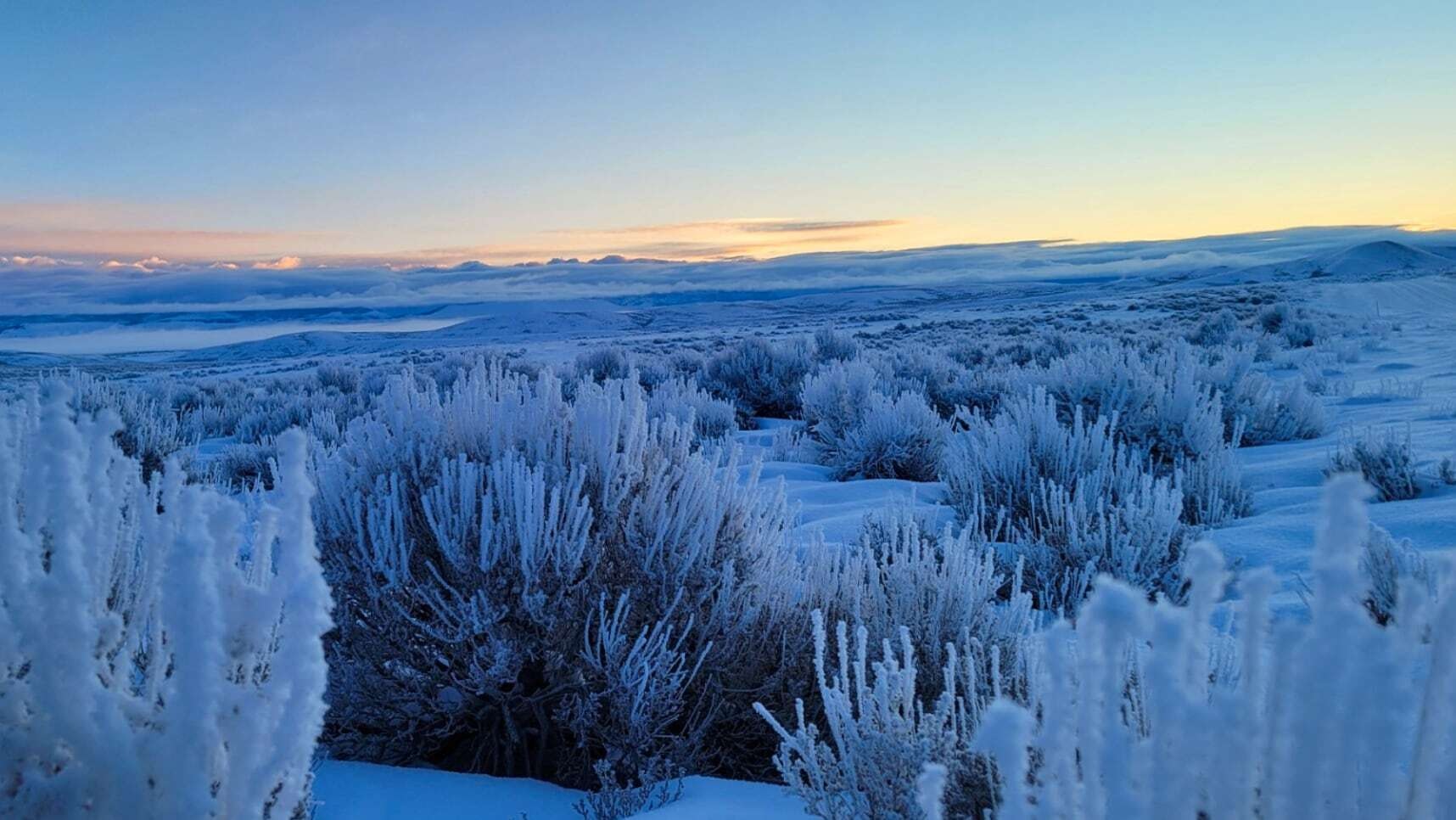 "Frosty morning over the winds." Sublette County, WY