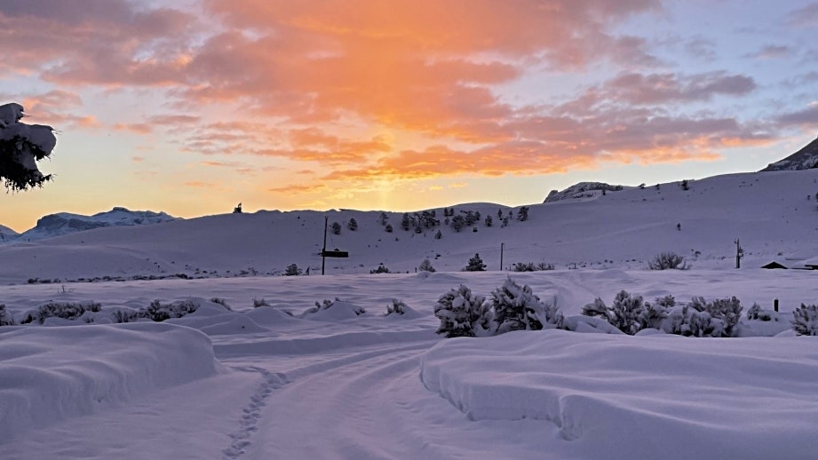 "Everyone has beautiful Wyoming winter pictures!  Here’s one from my home in Wapiti, WY."