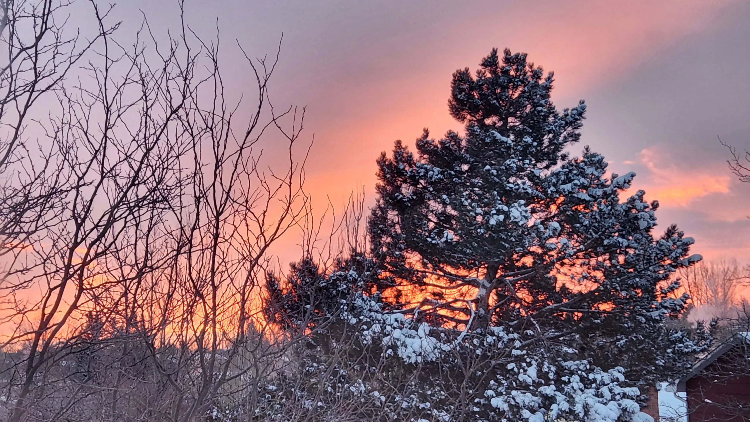 Sunrise 2 27 23 scaled