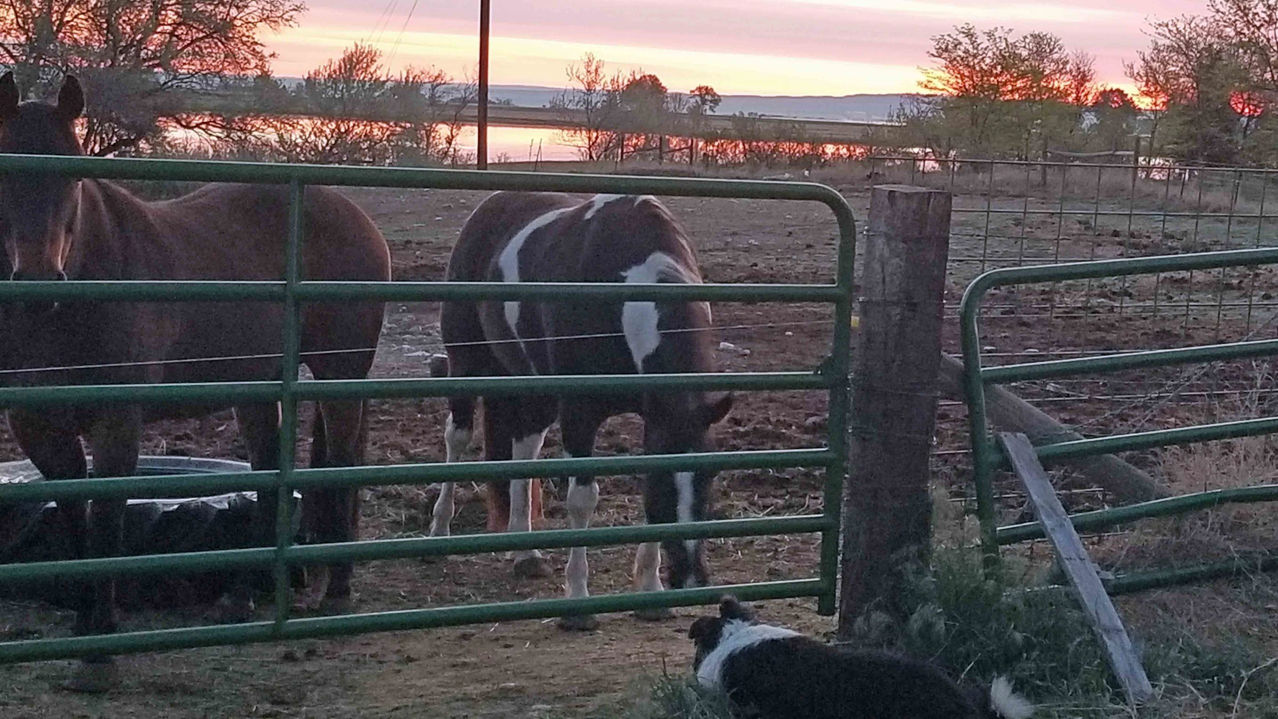 Sunrise 2 6 6 22 v2 scaled