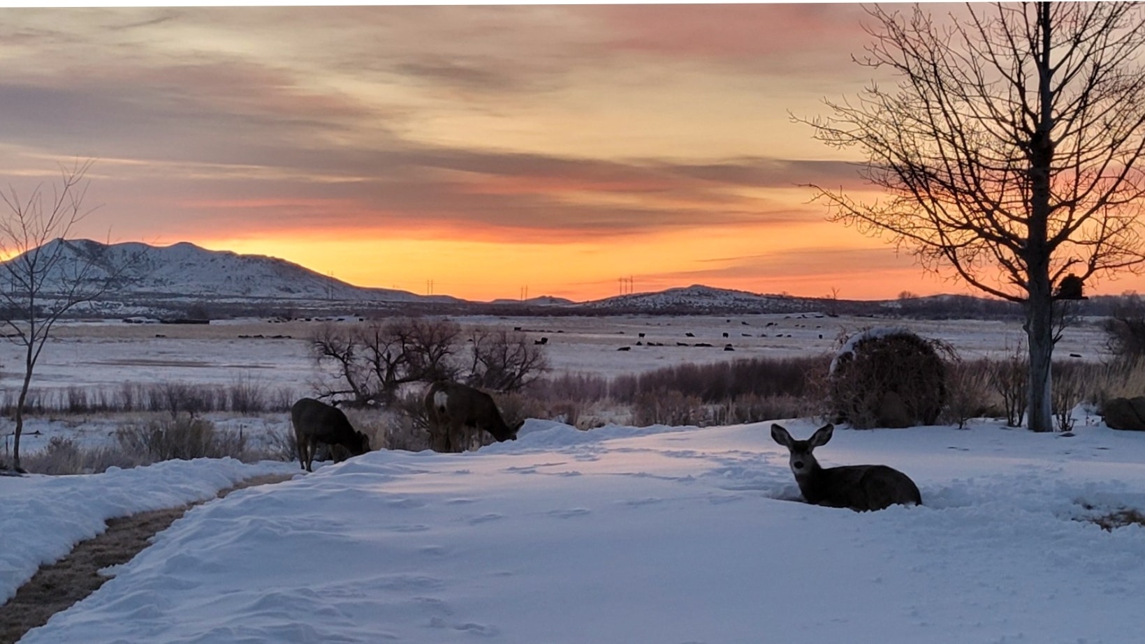 "Woke up this morning to find somebody camped out in the front yard." Riverton, WY