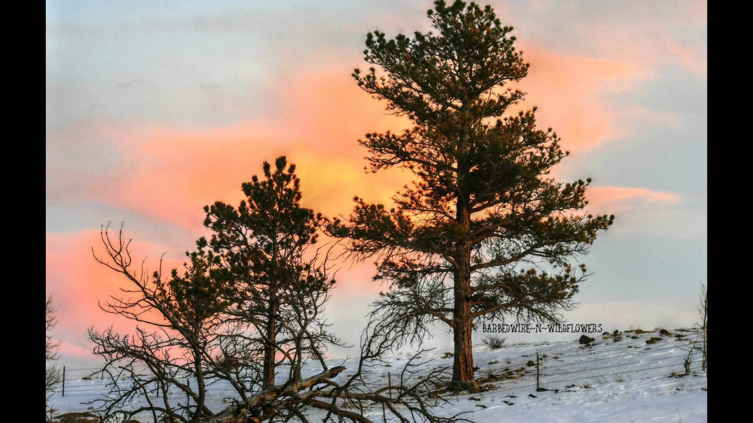 Sunrise 3 14 23 scaled