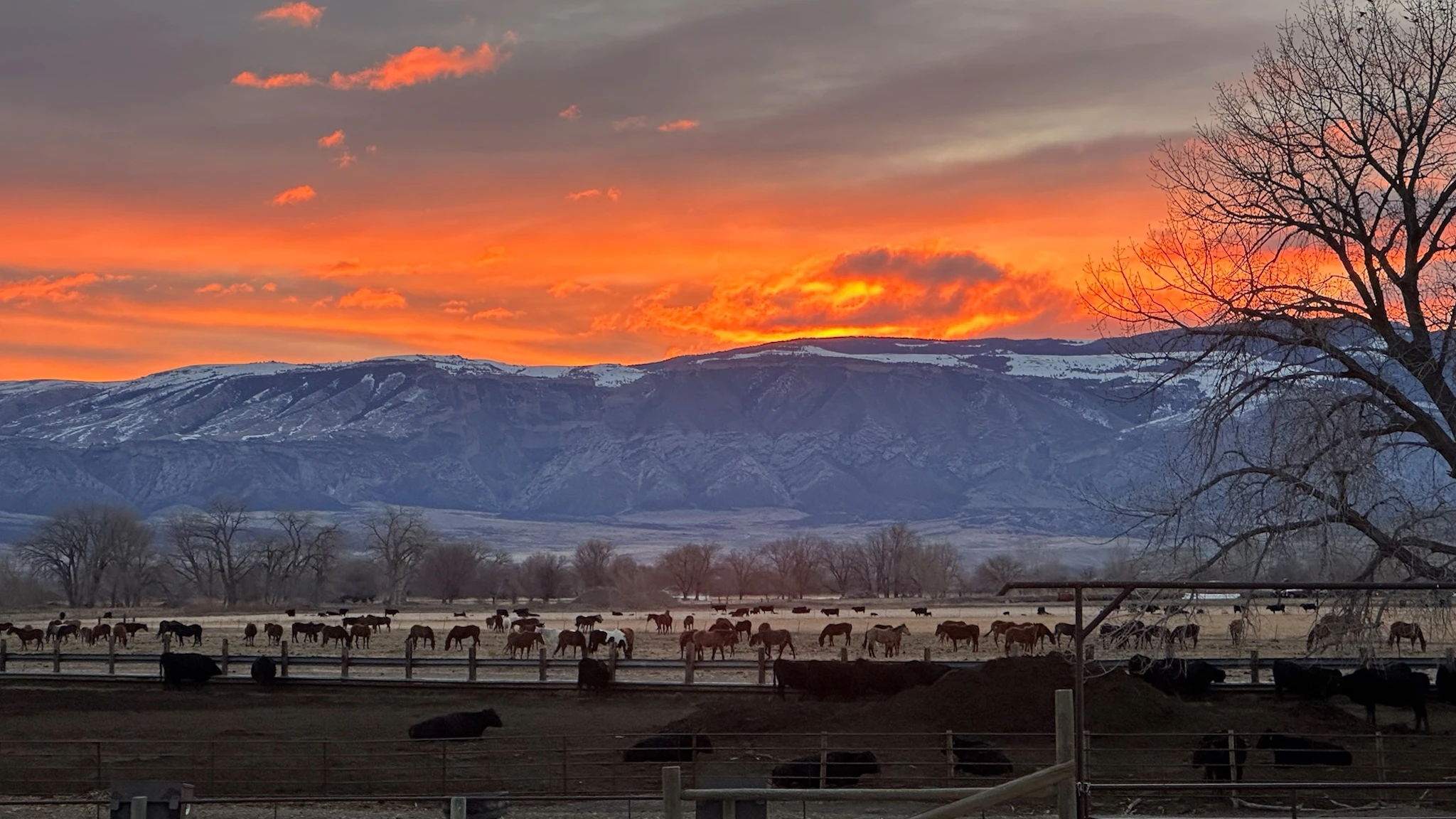 Your Wyoming Sunrise Wednesday February 5 2025 Cowboy State Daily your-wyoming-sunrise-wednesday-february-5-2025-cowboy-state-daily