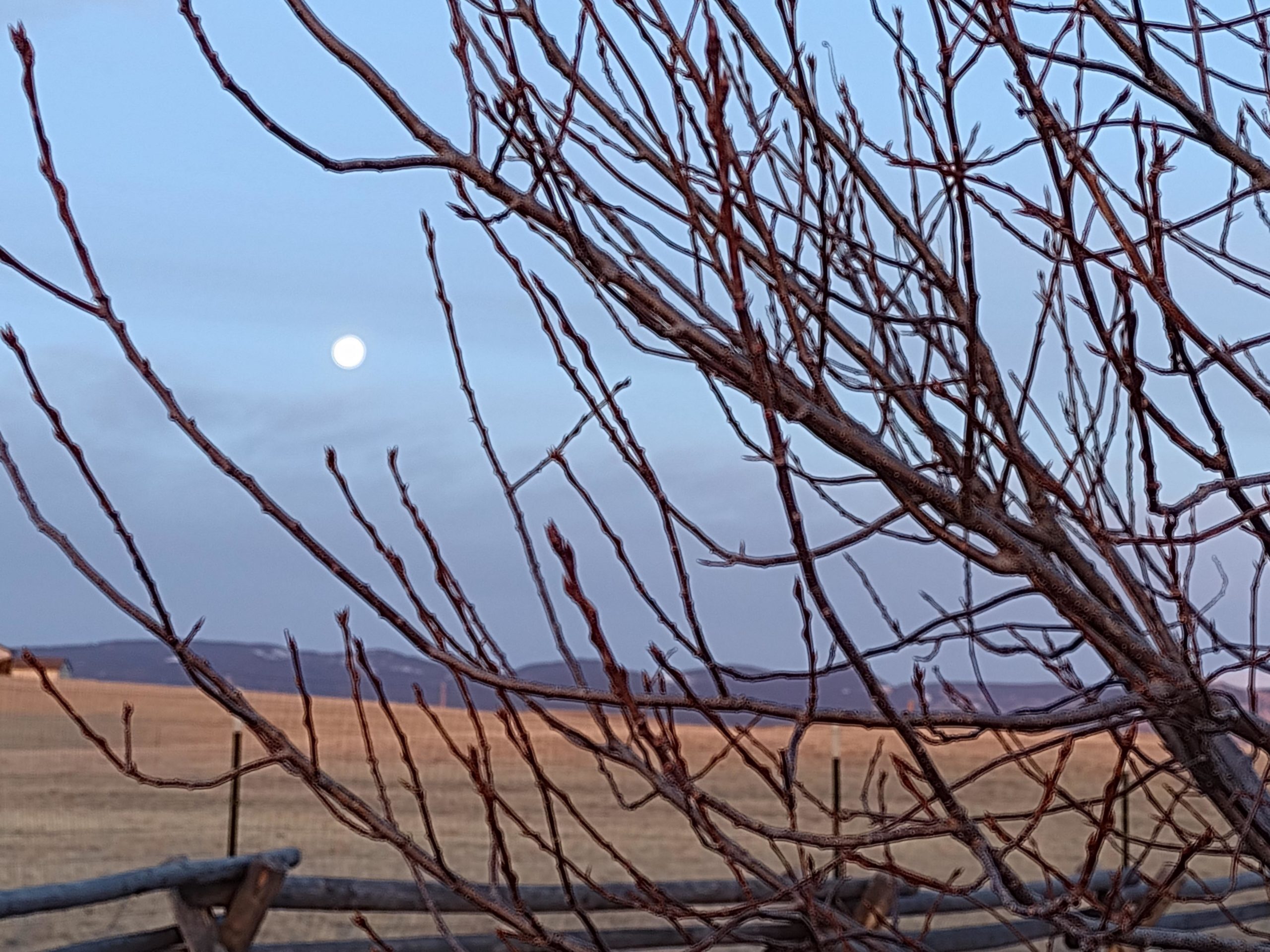 Sunrise 3 19 22 v3 scaled