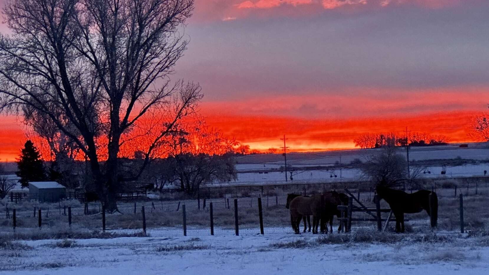 "Waking up to WY sunrises is always a blessing." Clark, WY