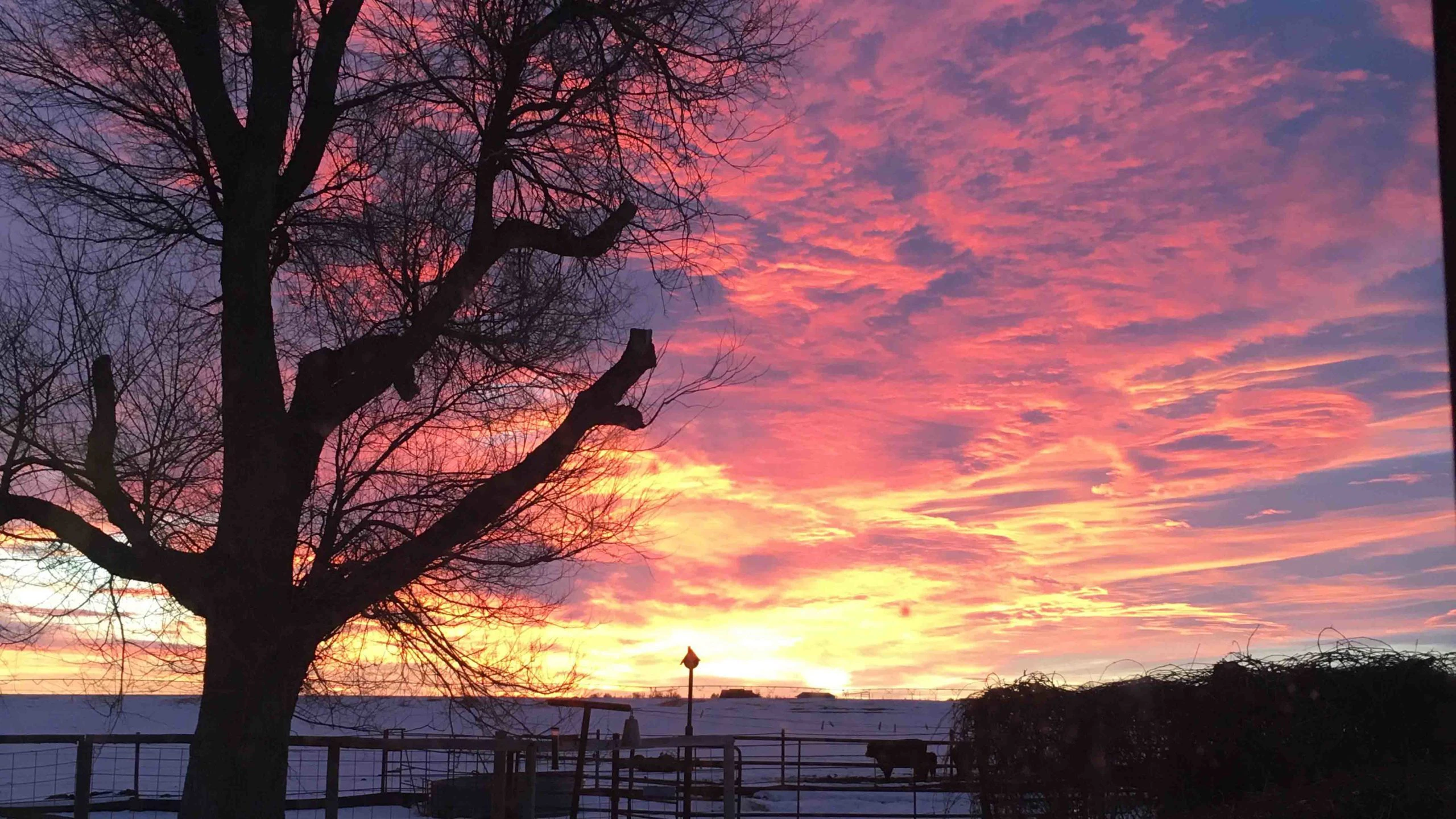 Sunrise 4 12 22 scaled