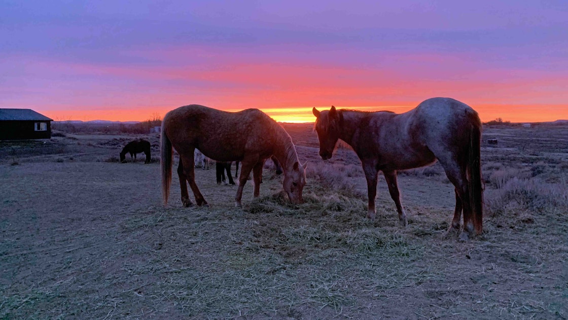 Your Wyoming Sunrise: Sunday, April 14, 2024