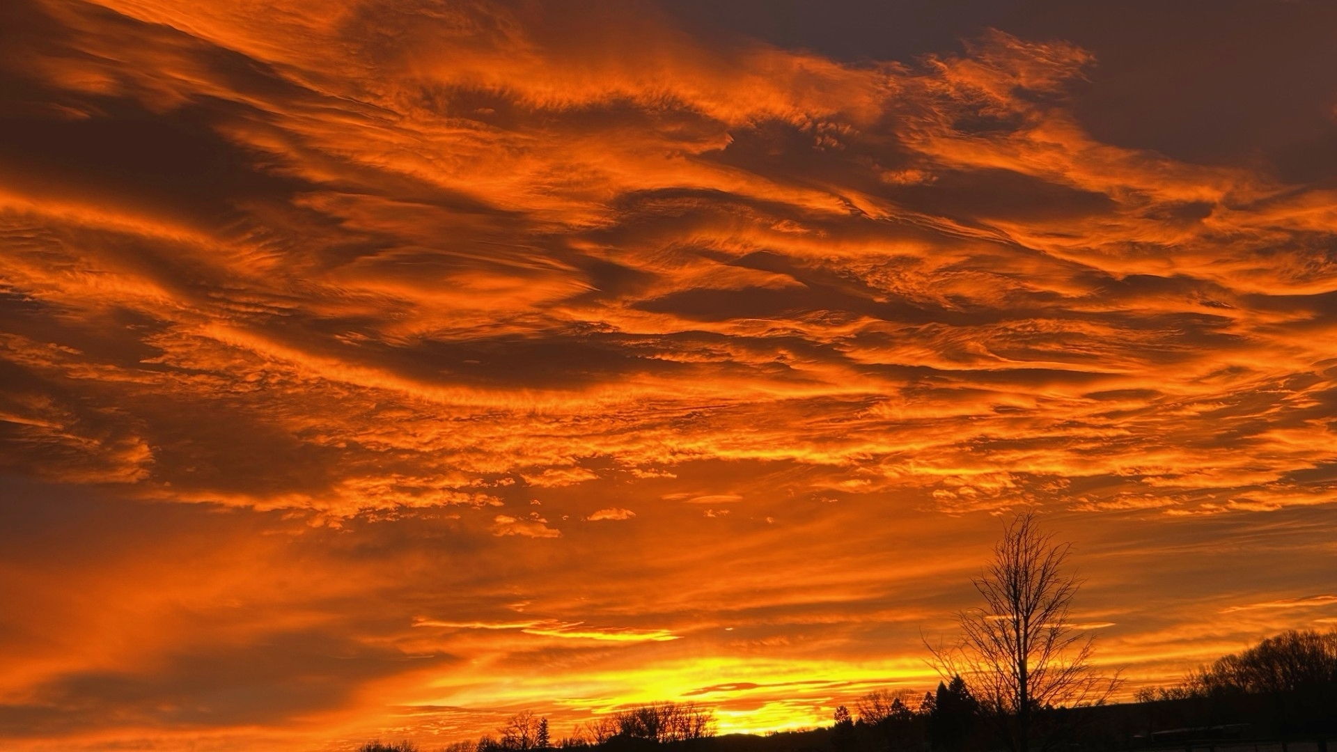 "Beautiful winter sunrise in Cody!" 