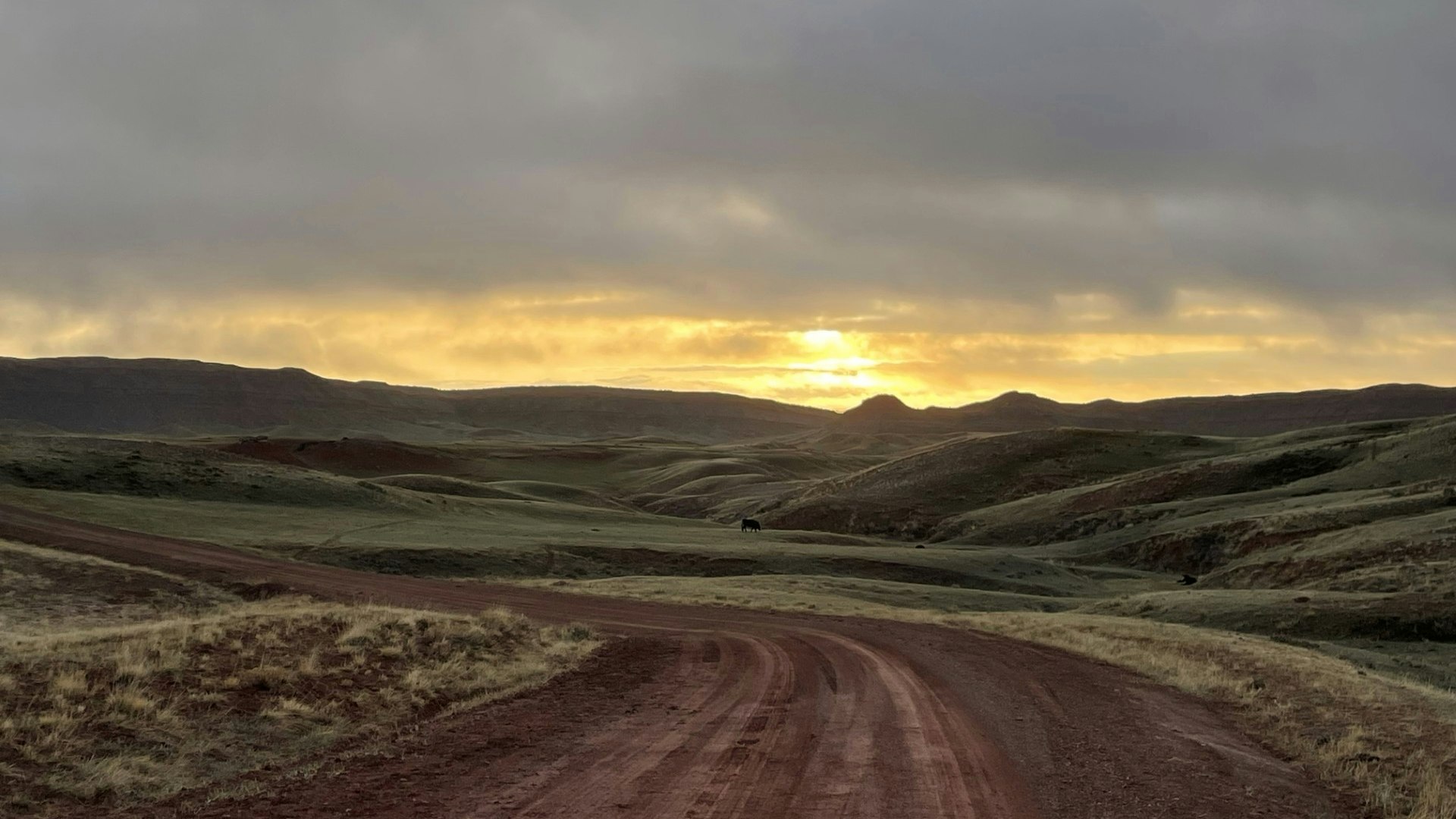 "Willow Creek Ranch, SW of Kaycee, Wyoming."Â