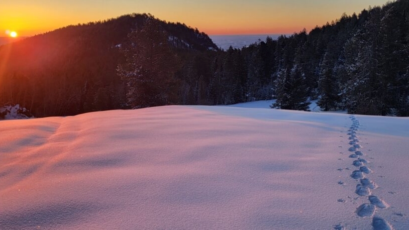 "Fresh tracks, last of the season."