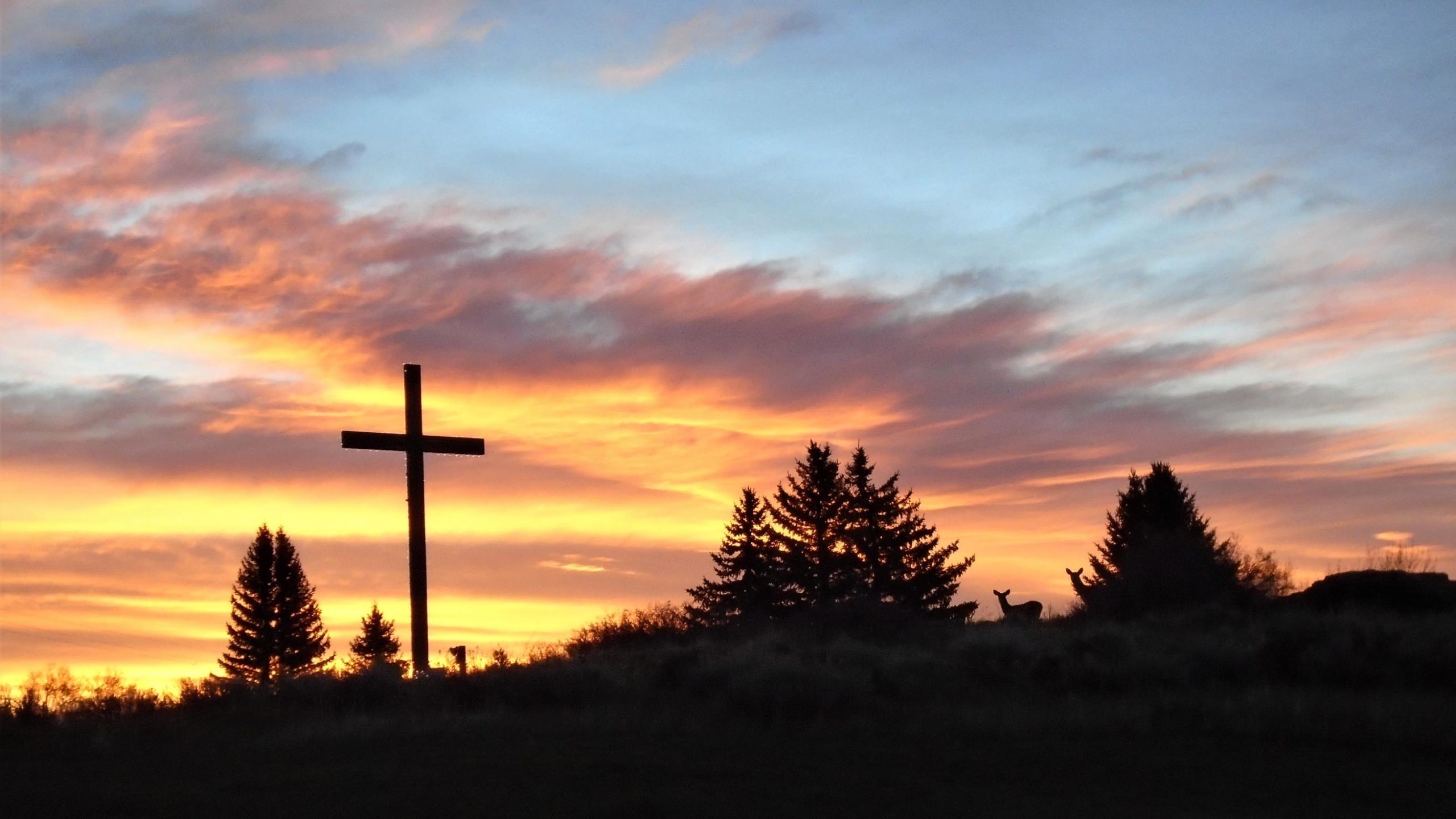 Sunrise 5 14 22 scaled