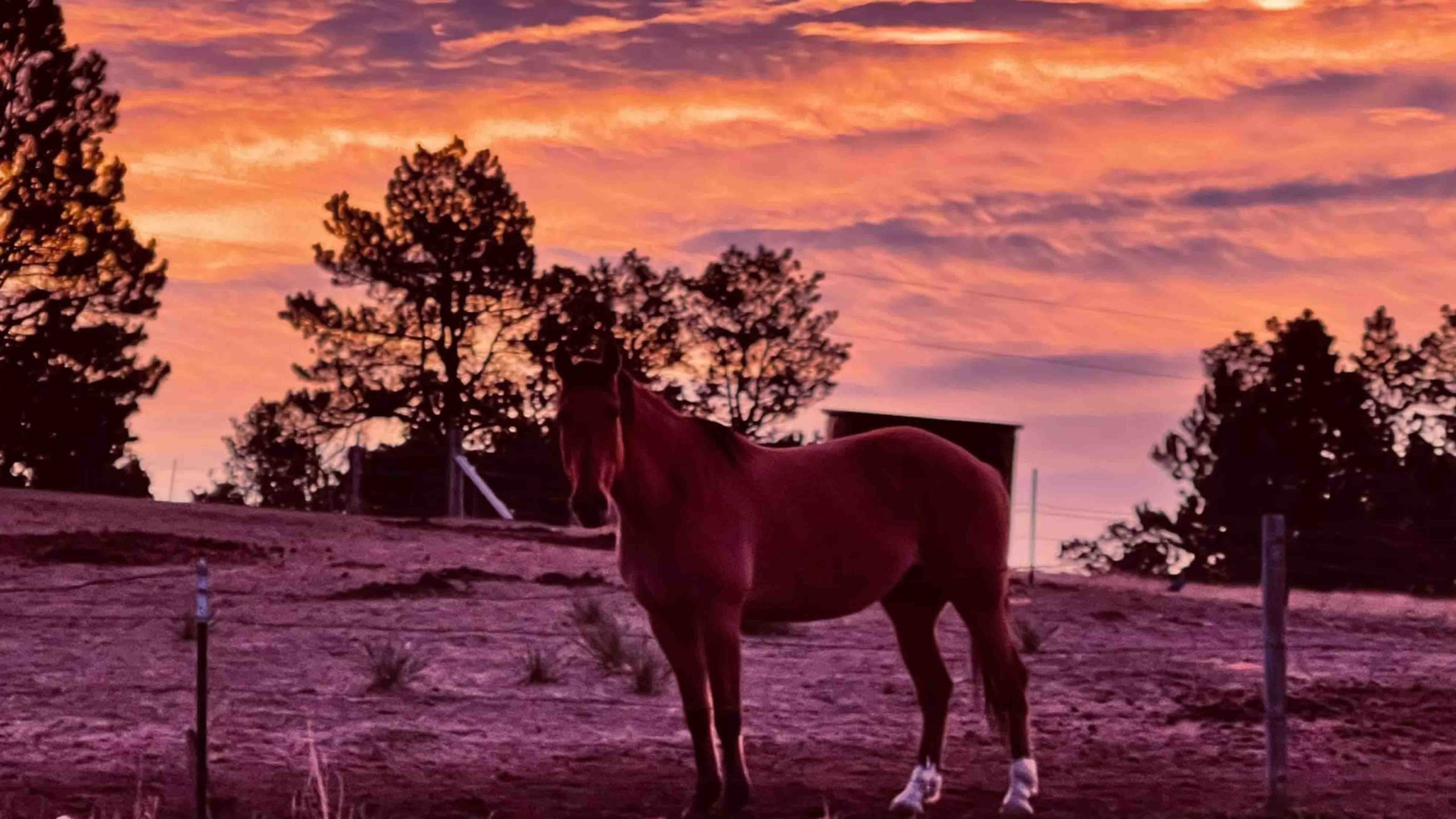 Sunrise 5 20 22v2 scaled