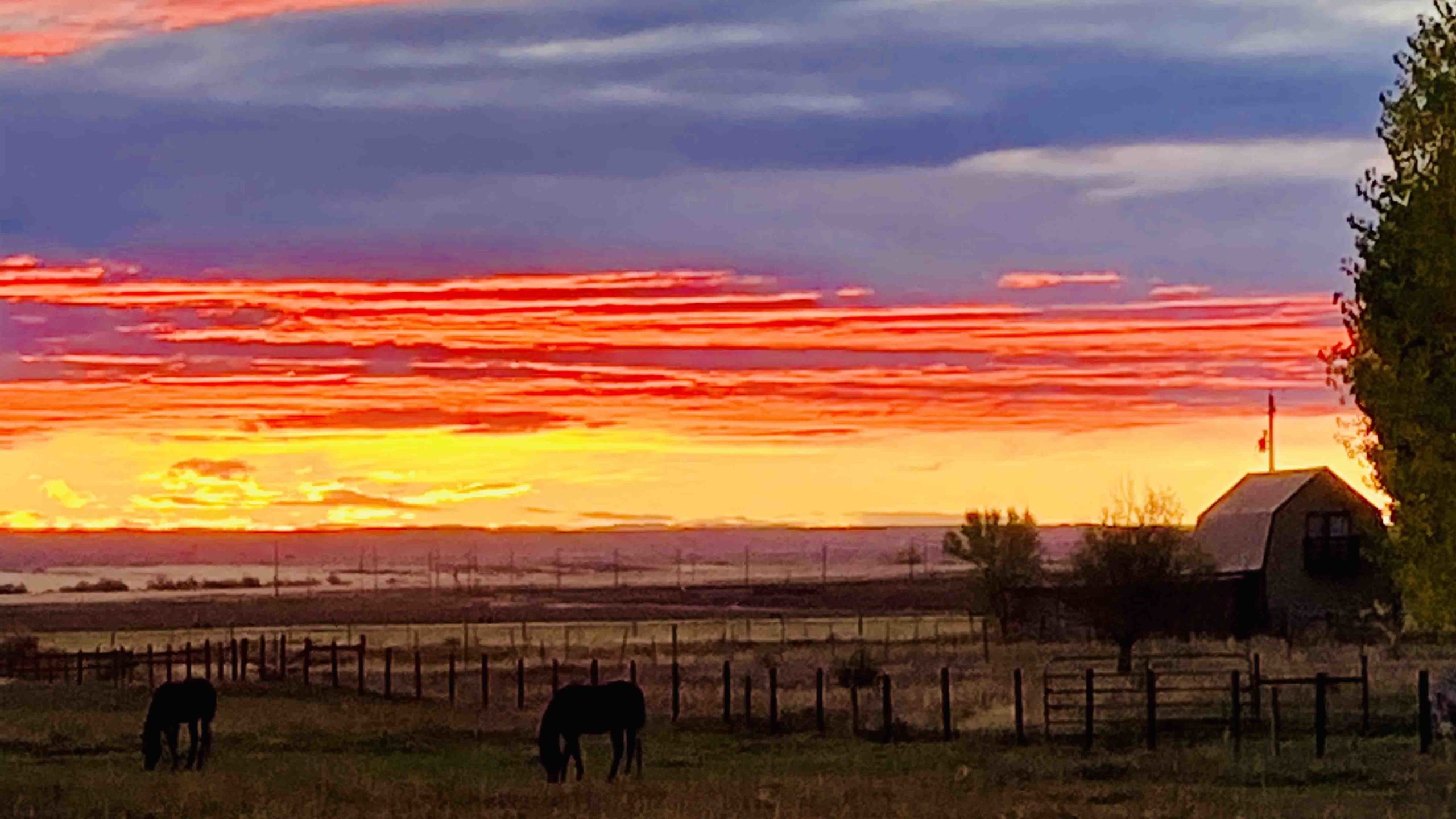 Sunrise 5 25 22 v2 scaled