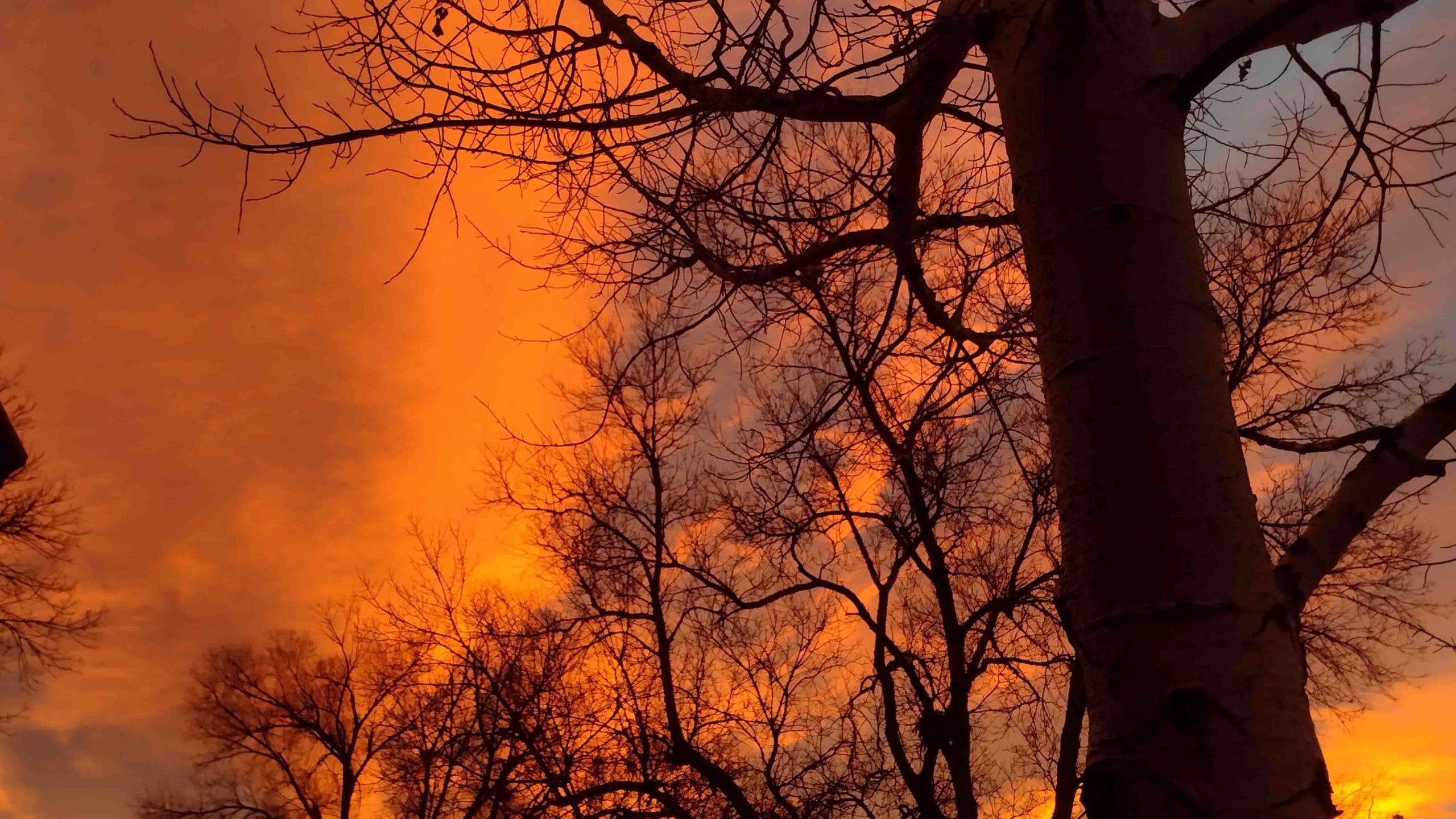 Sunrise 5 3 22 scaled