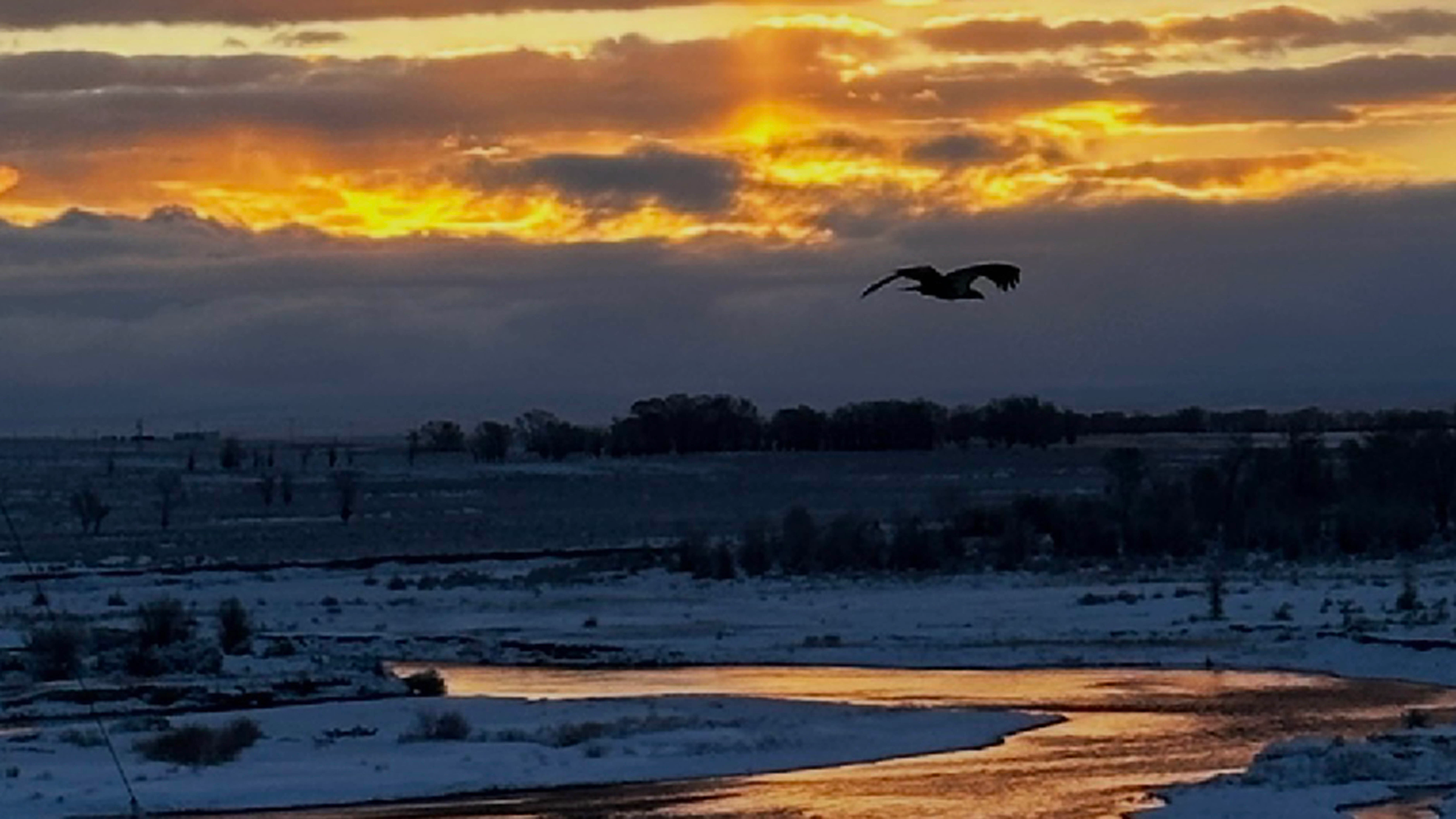 Sunrise 5 7 26 small