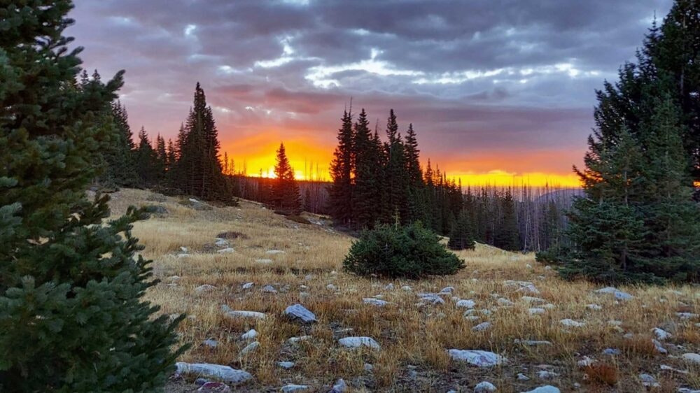 Sunrise 6 25 25