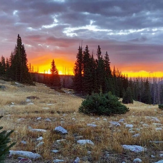Sunrise 6 25 25