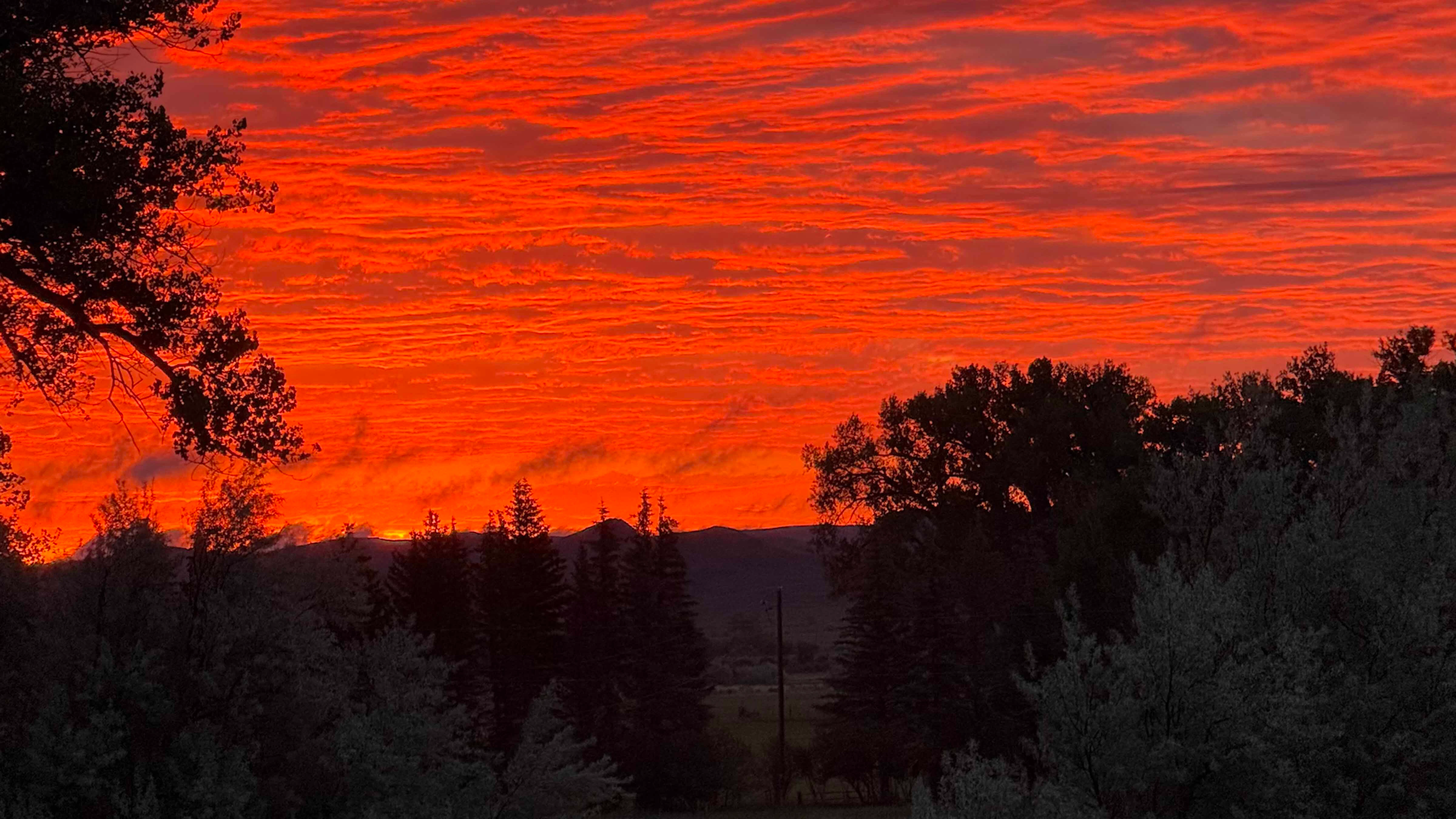 Sunrise 6 25 26 small
