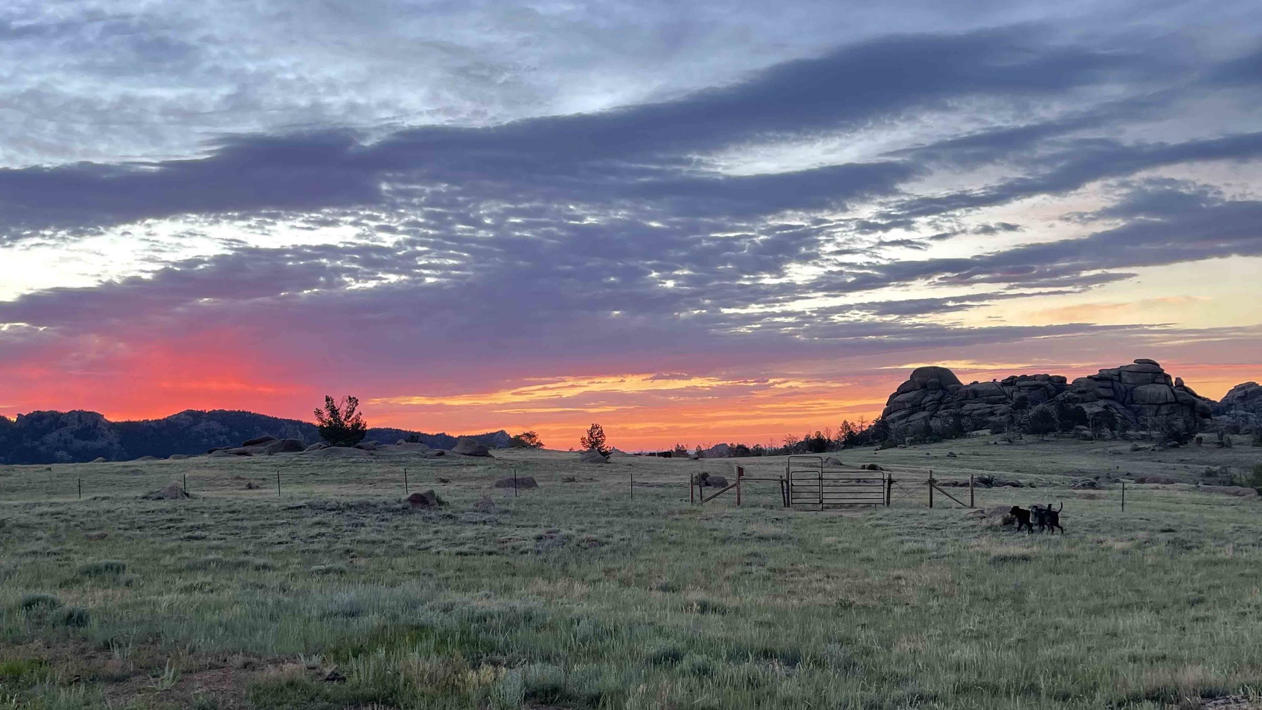 Sunrise 7 1 22 v2 scaled