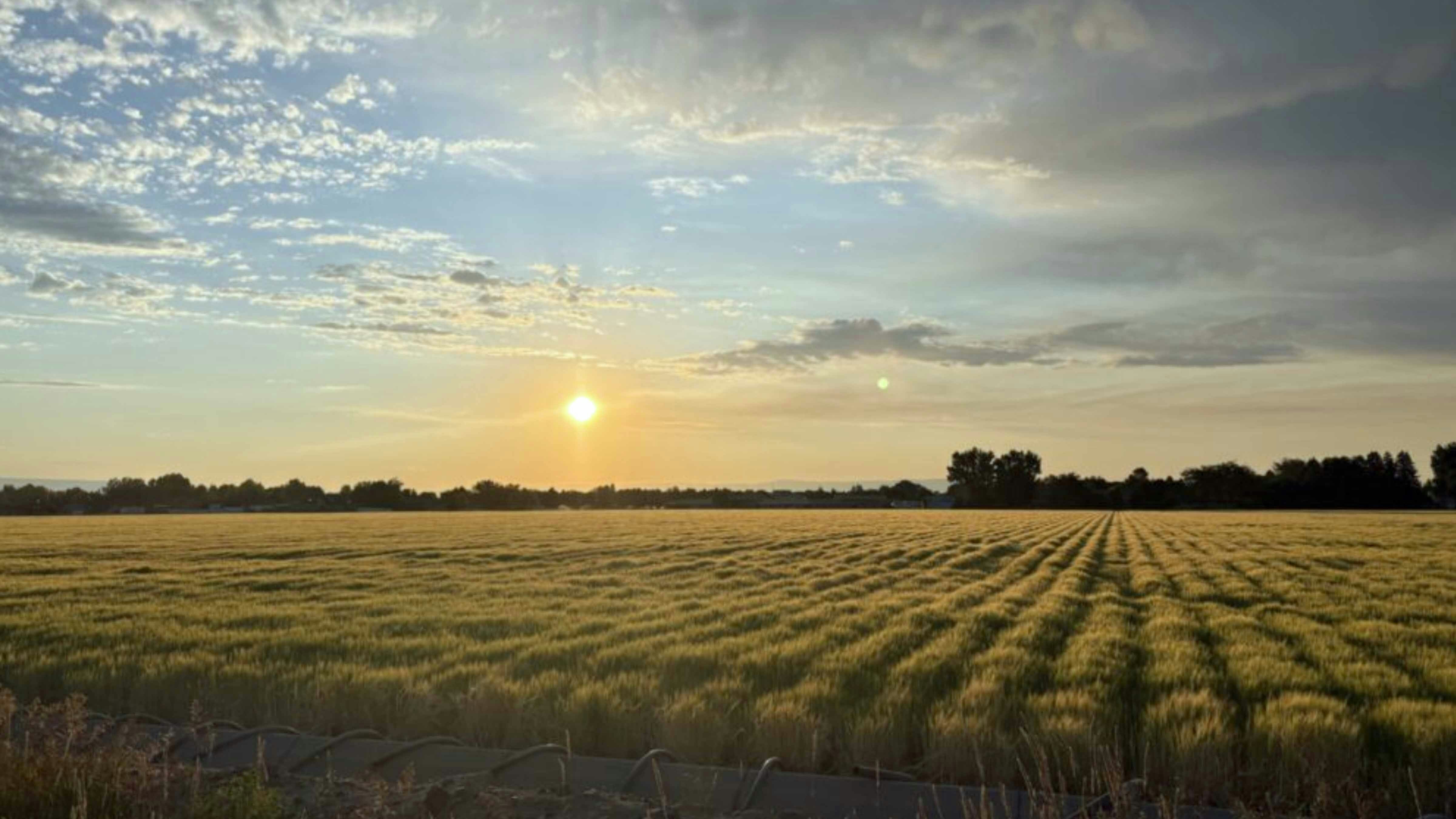 Sunrise 7 10 25 web