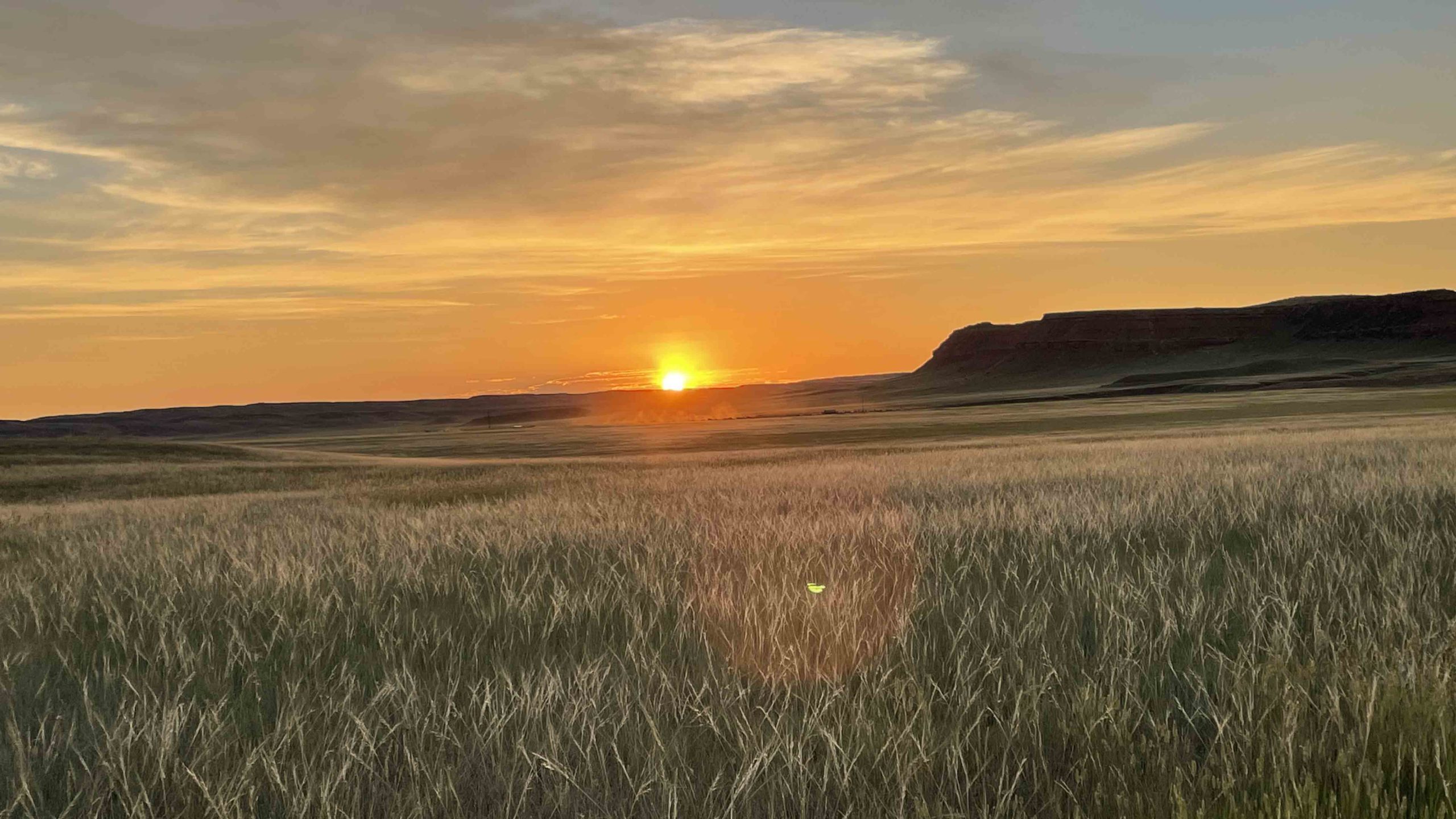 Sunrise 7 13 22 v2 scaled