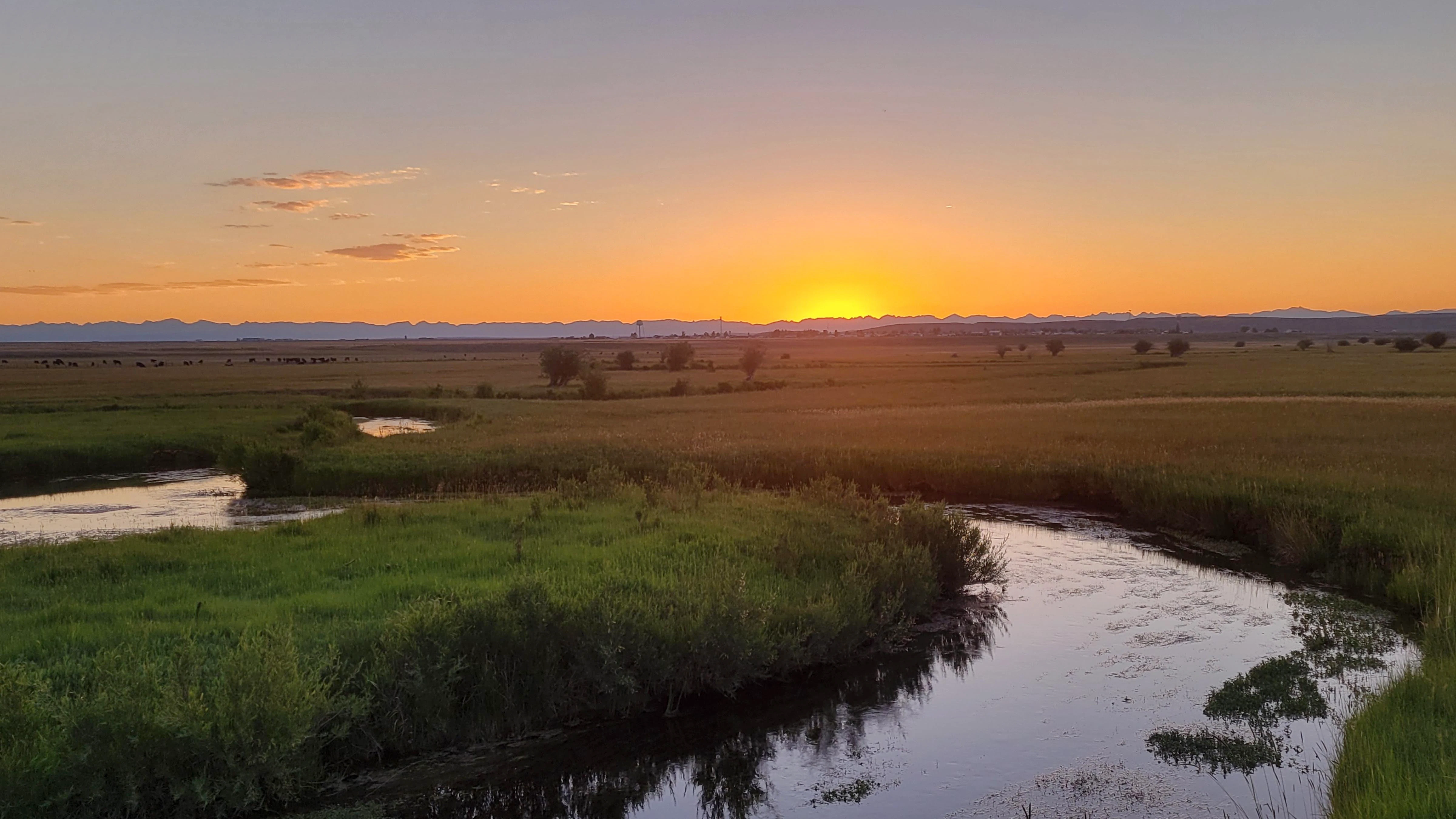 Sunrise 7 14 26