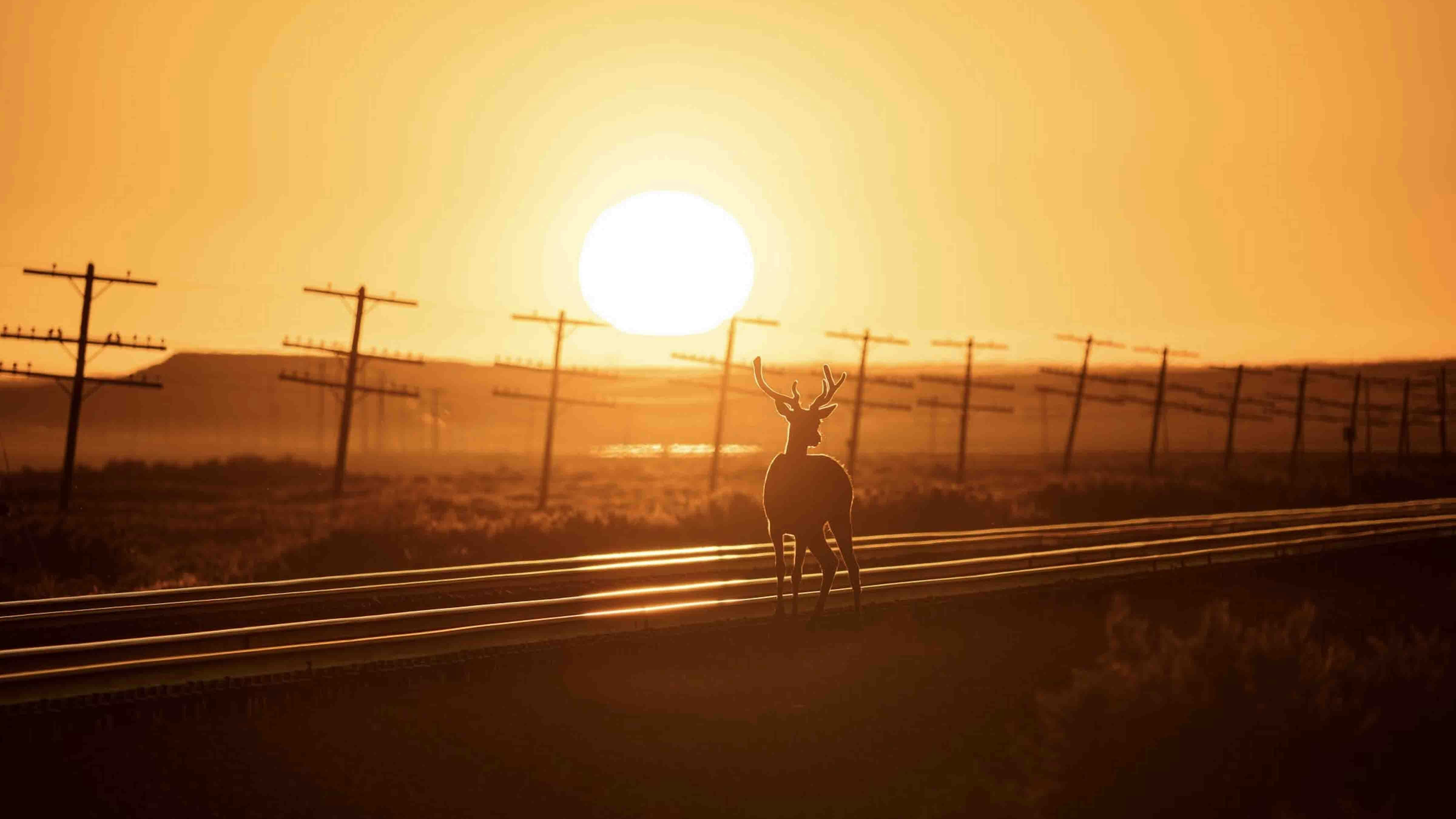 Sunrise 7 17 25