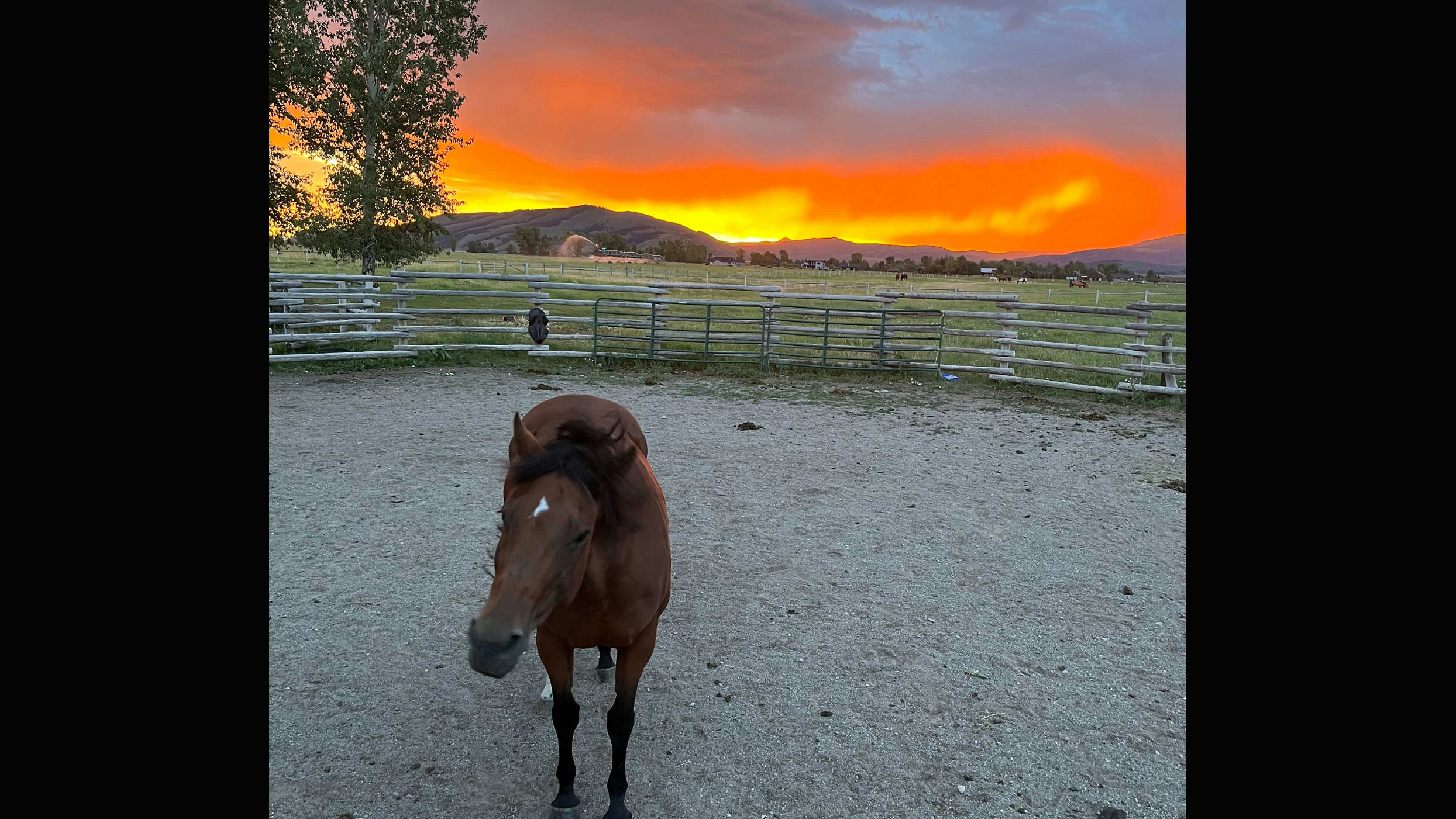 Sunrise 7 20 252 v2