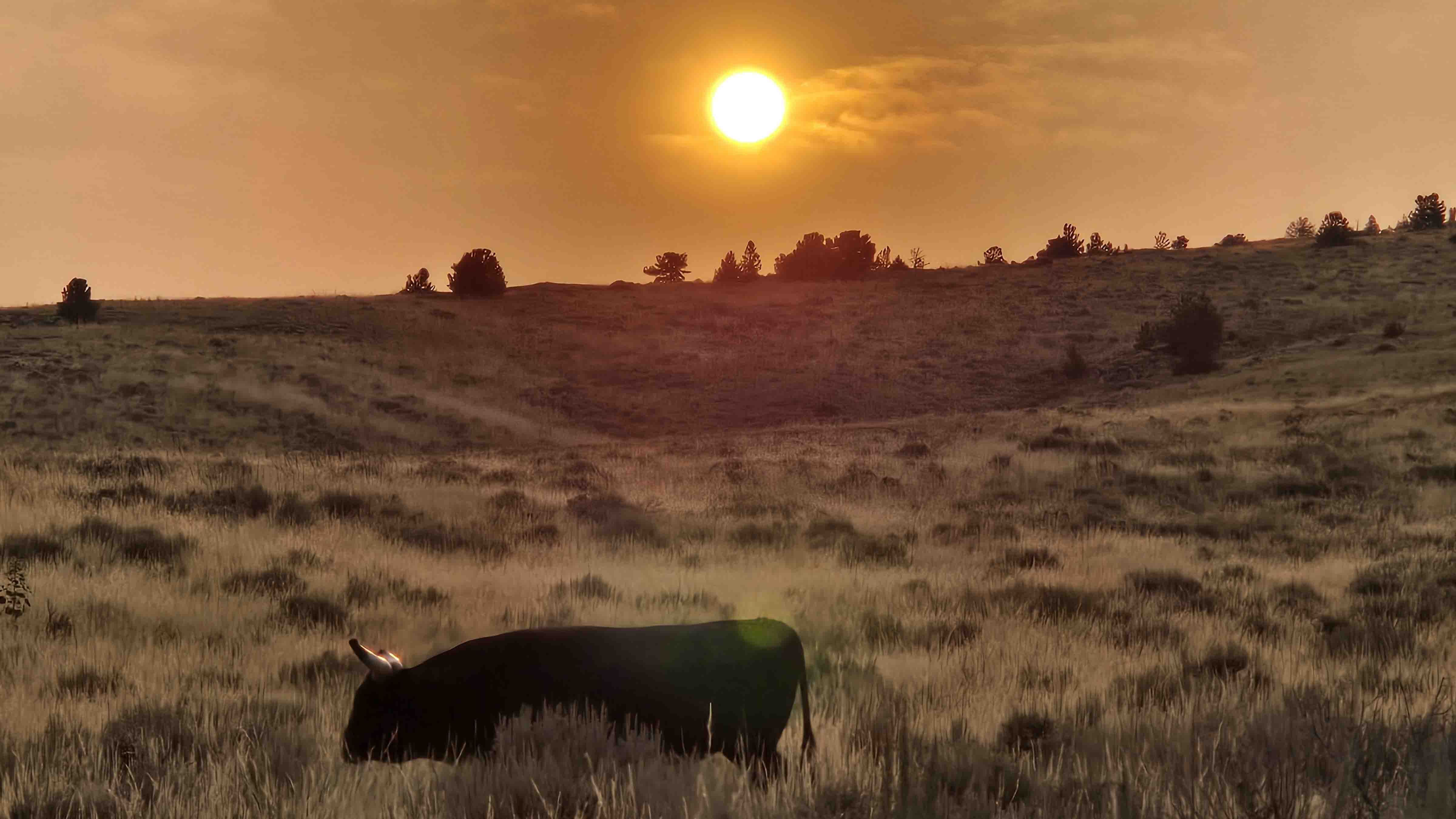 Your Wyoming Sunrise: Wednesday, July 31, 2024