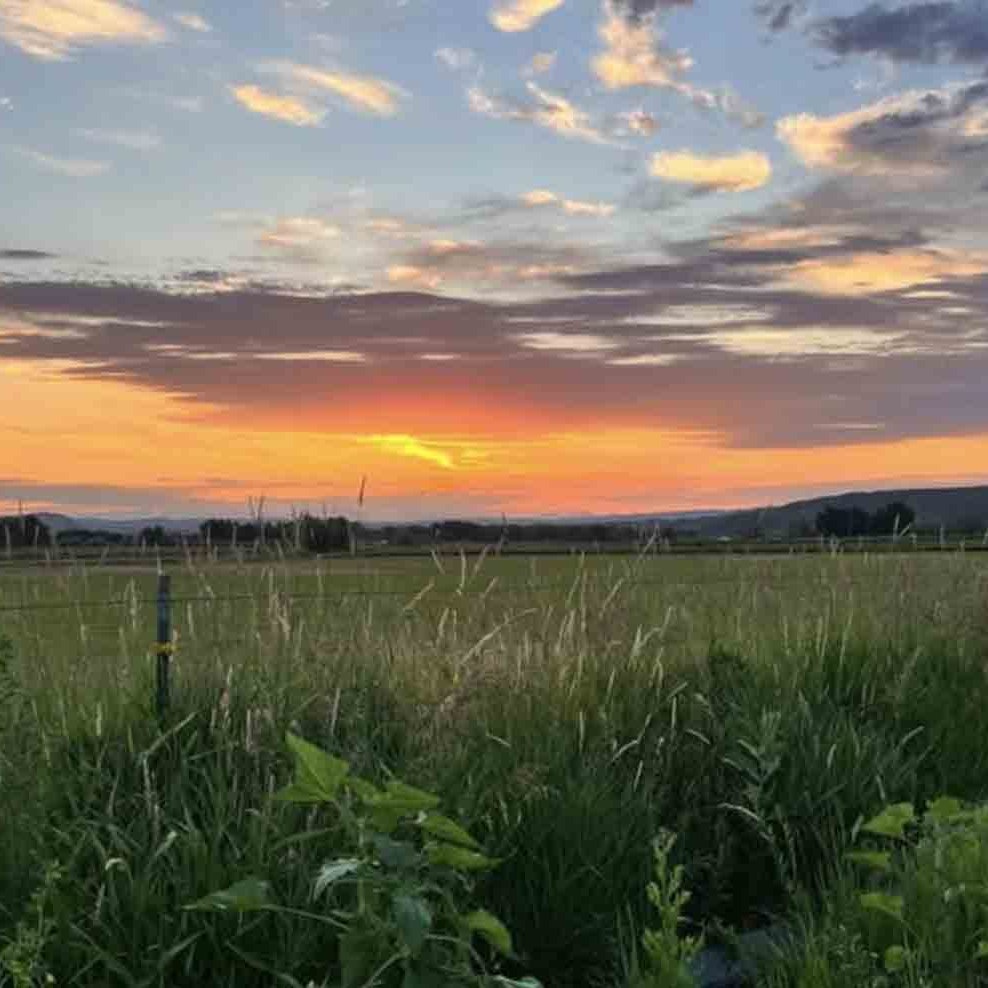 Sunrise 7 7 25