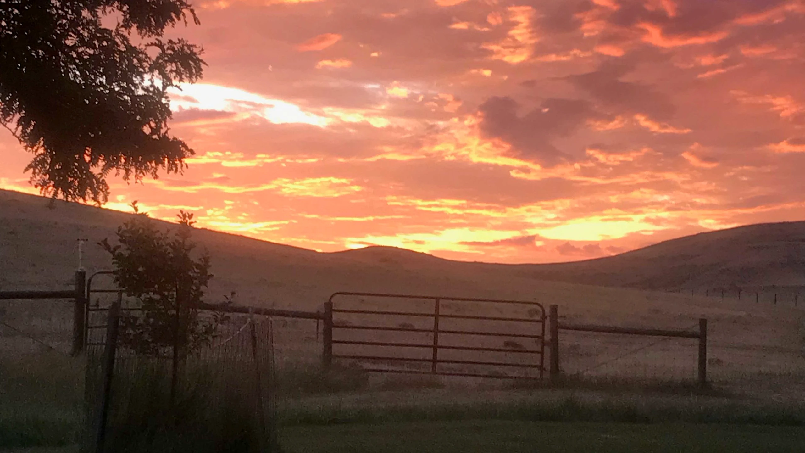 Sunrise 8 28 22v2 scaled