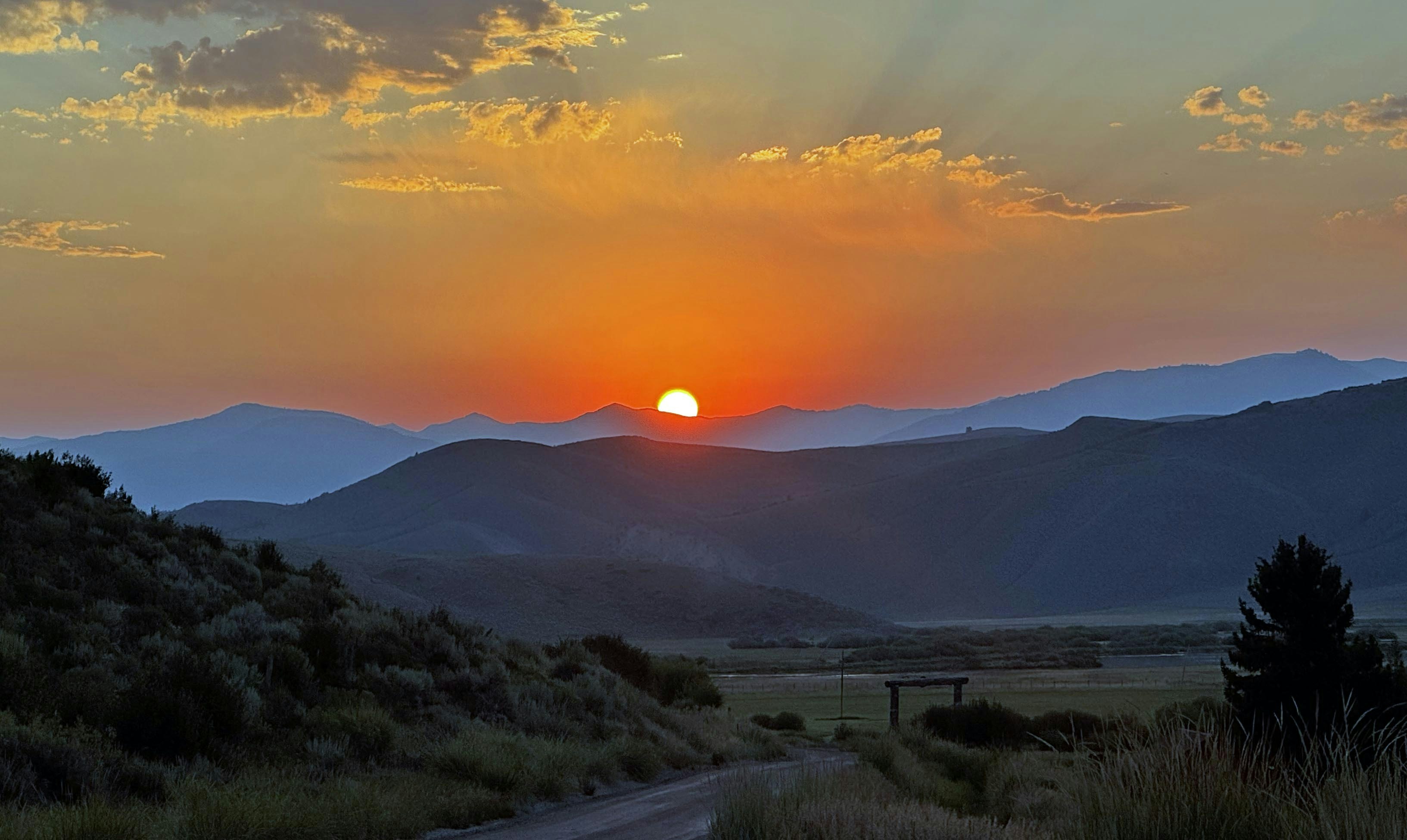 Sunrise 8 4 25